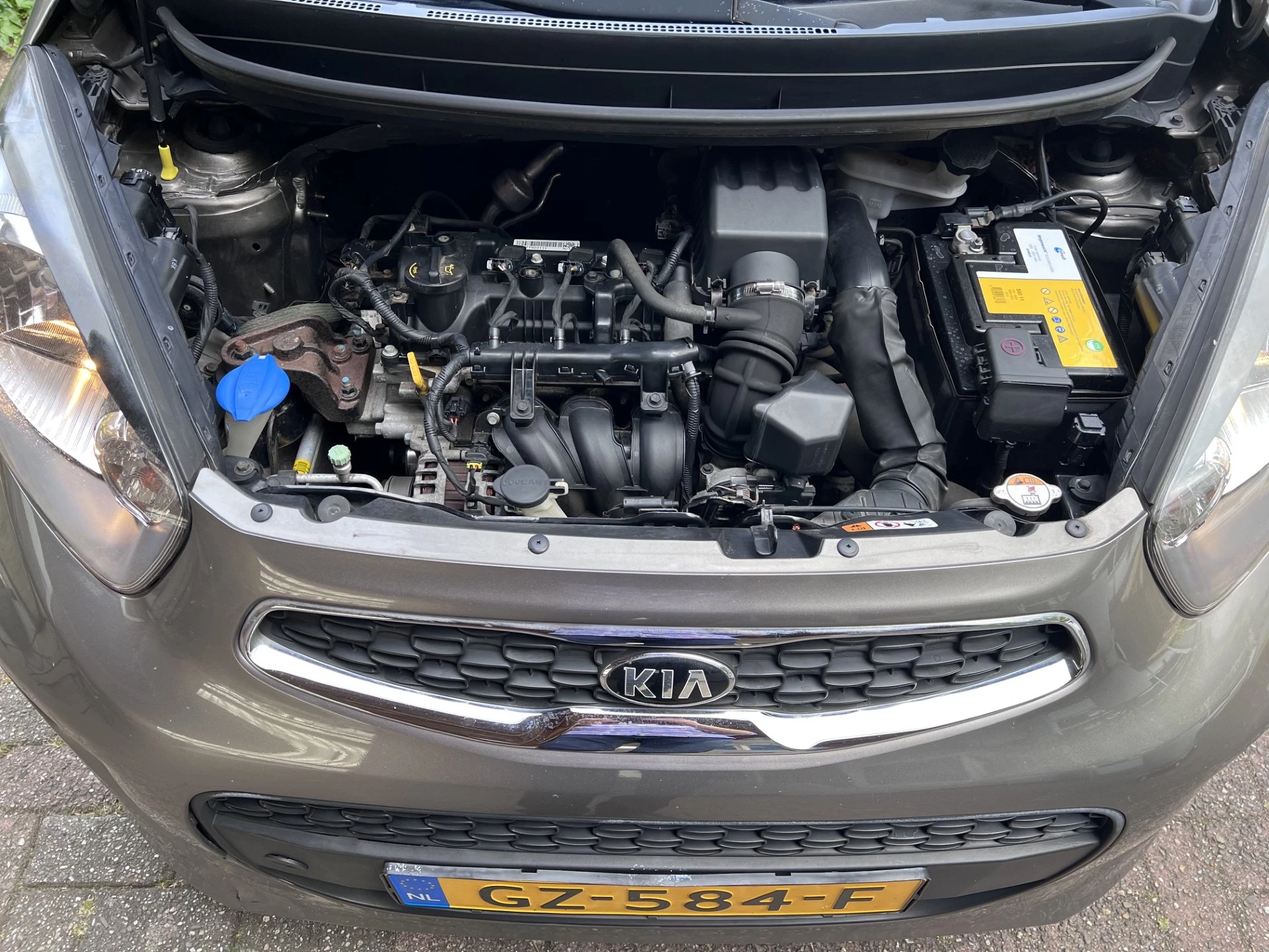 Hoofdafbeelding Kia Picanto