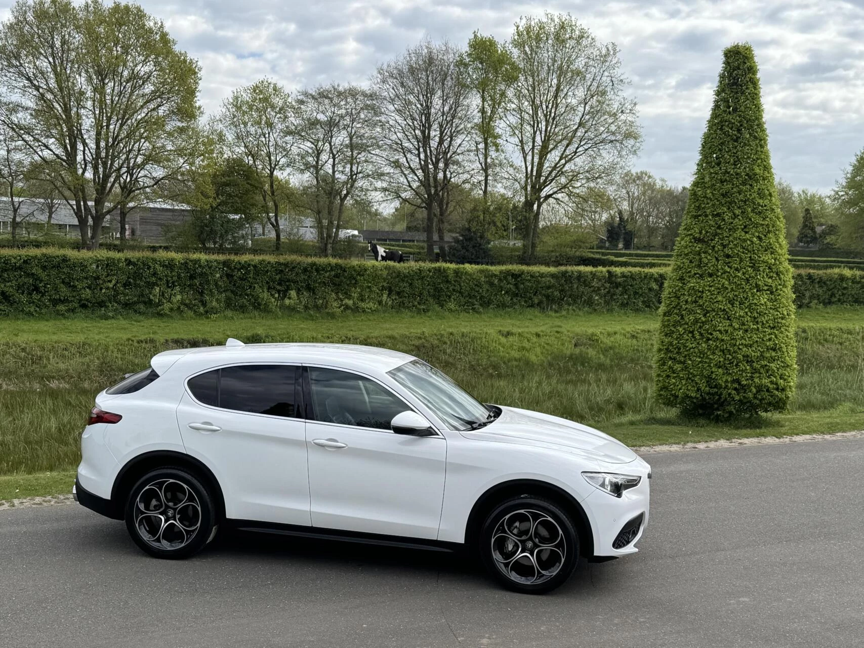 Hoofdafbeelding Alfa Romeo Stelvio