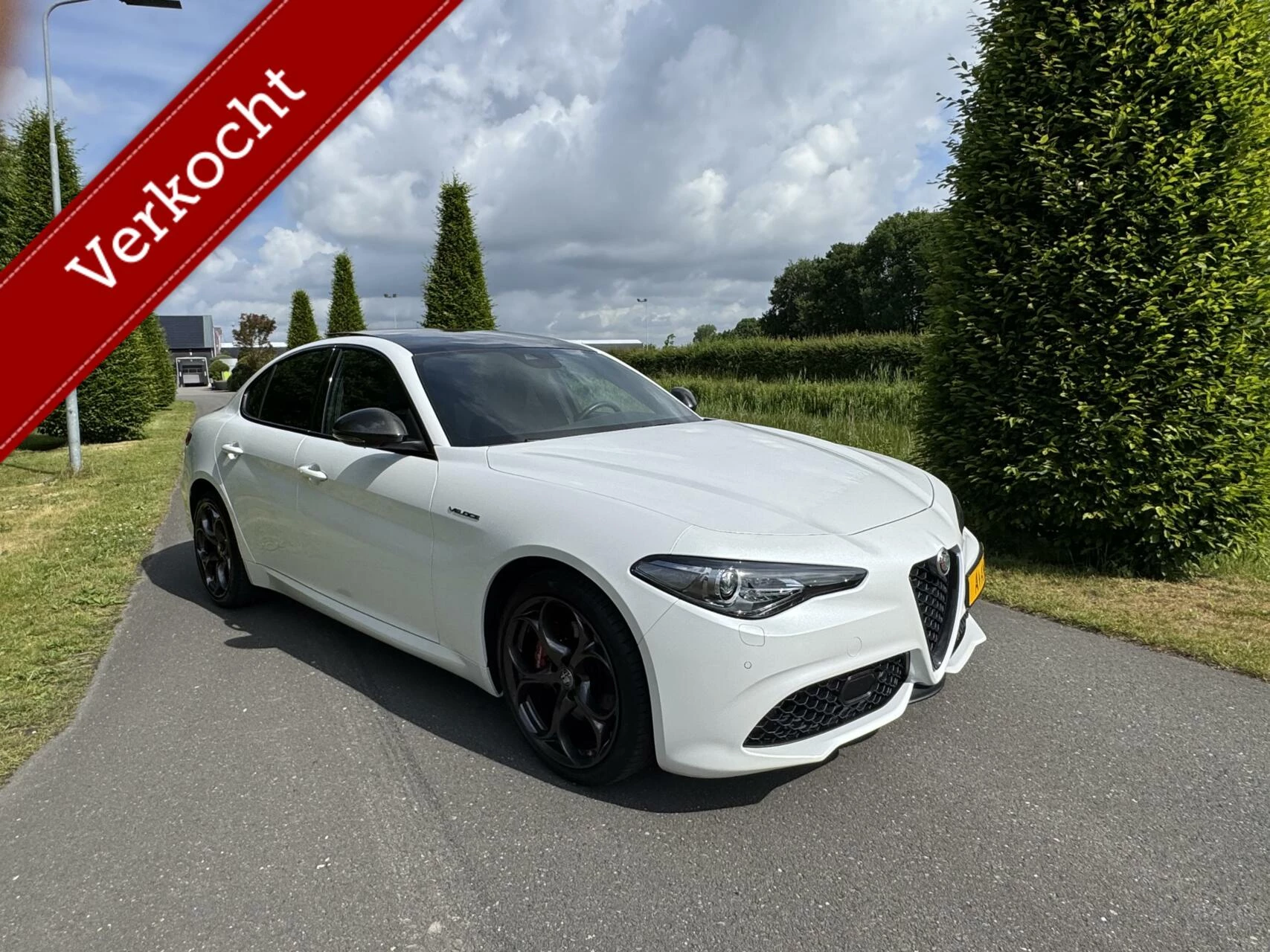 Hoofdafbeelding Alfa Romeo Giulia