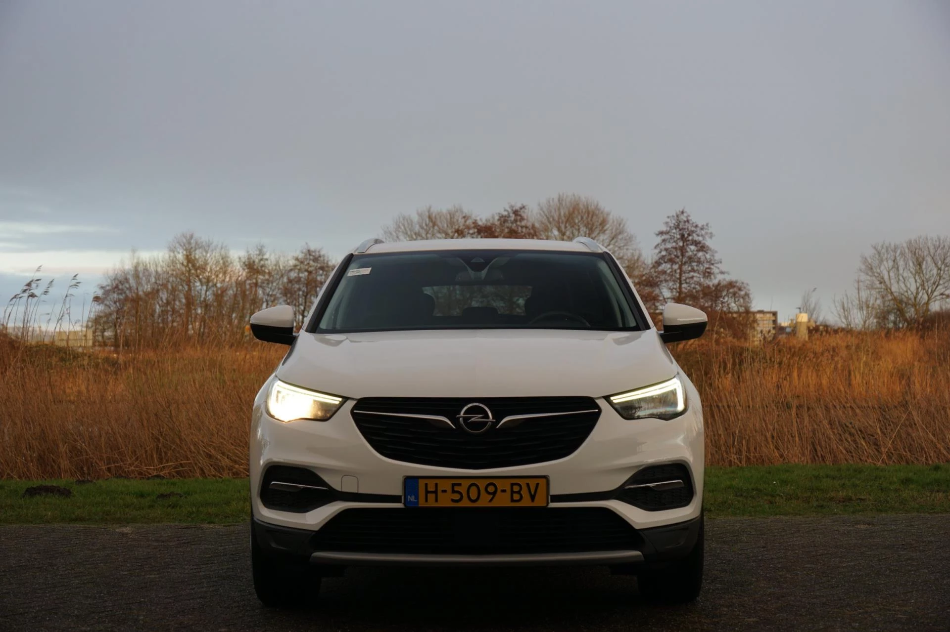 Hoofdafbeelding Opel Grandland X