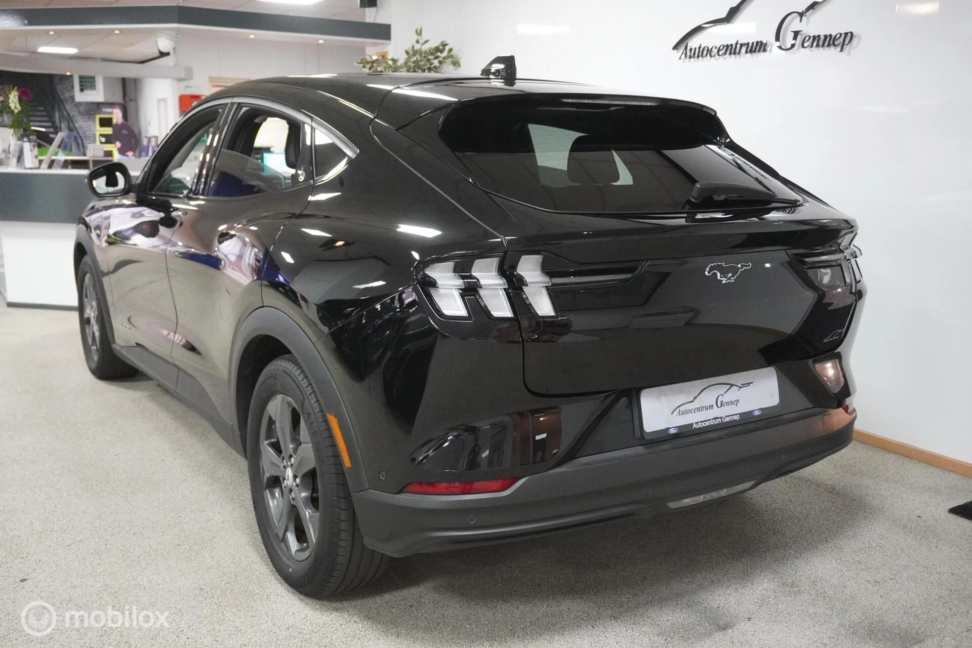 Hoofdafbeelding Ford Mustang Mach-E