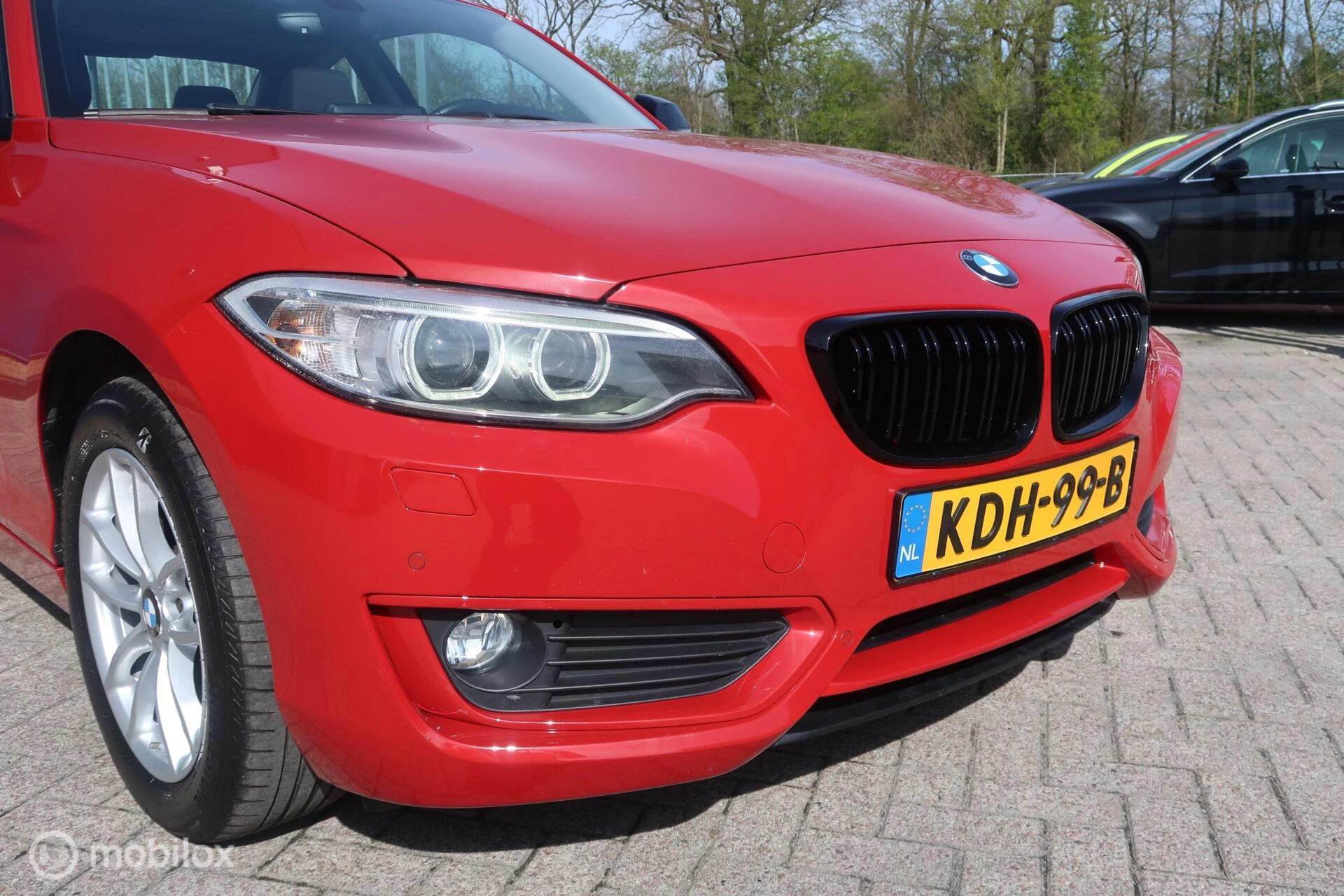 Hoofdafbeelding BMW 2 Serie