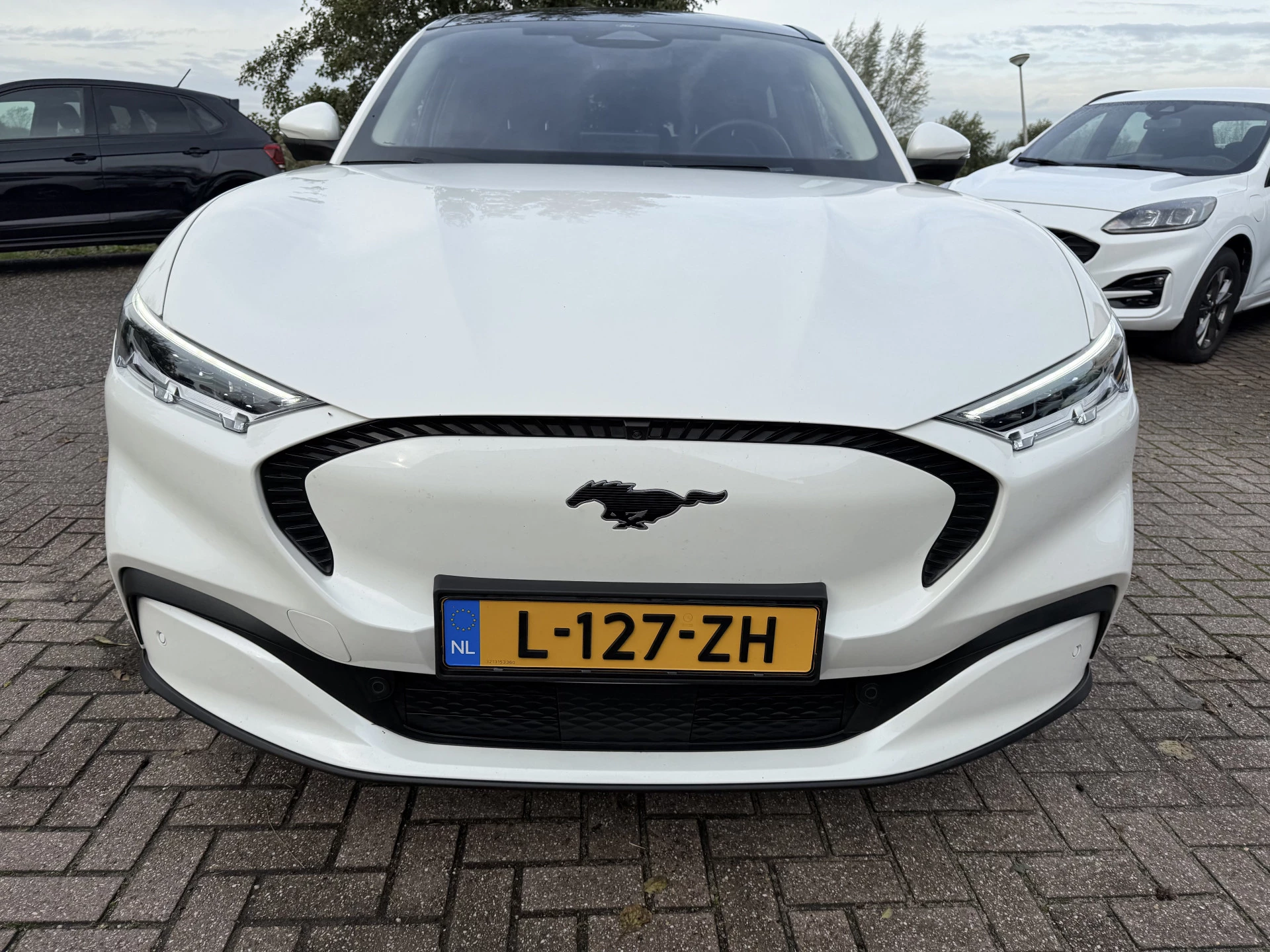 Hoofdafbeelding Ford Mustang Mach-E