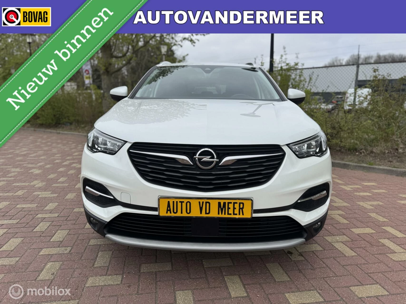 Hoofdafbeelding Opel Grandland X
