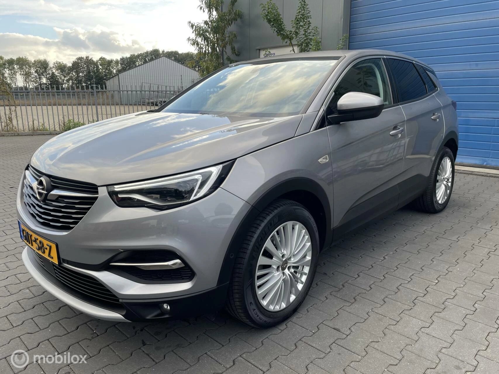 Hoofdafbeelding Opel Grandland X