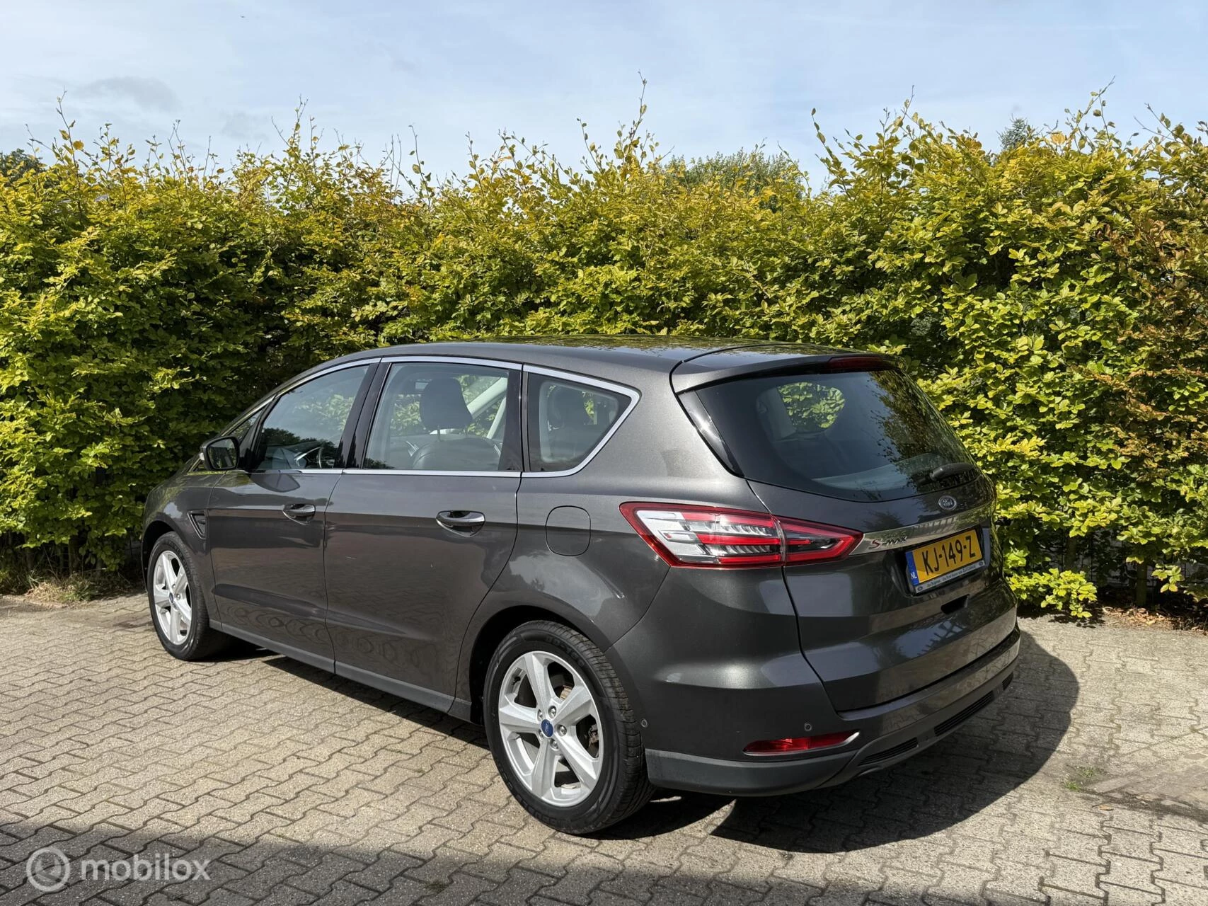 Hoofdafbeelding Ford S-Max