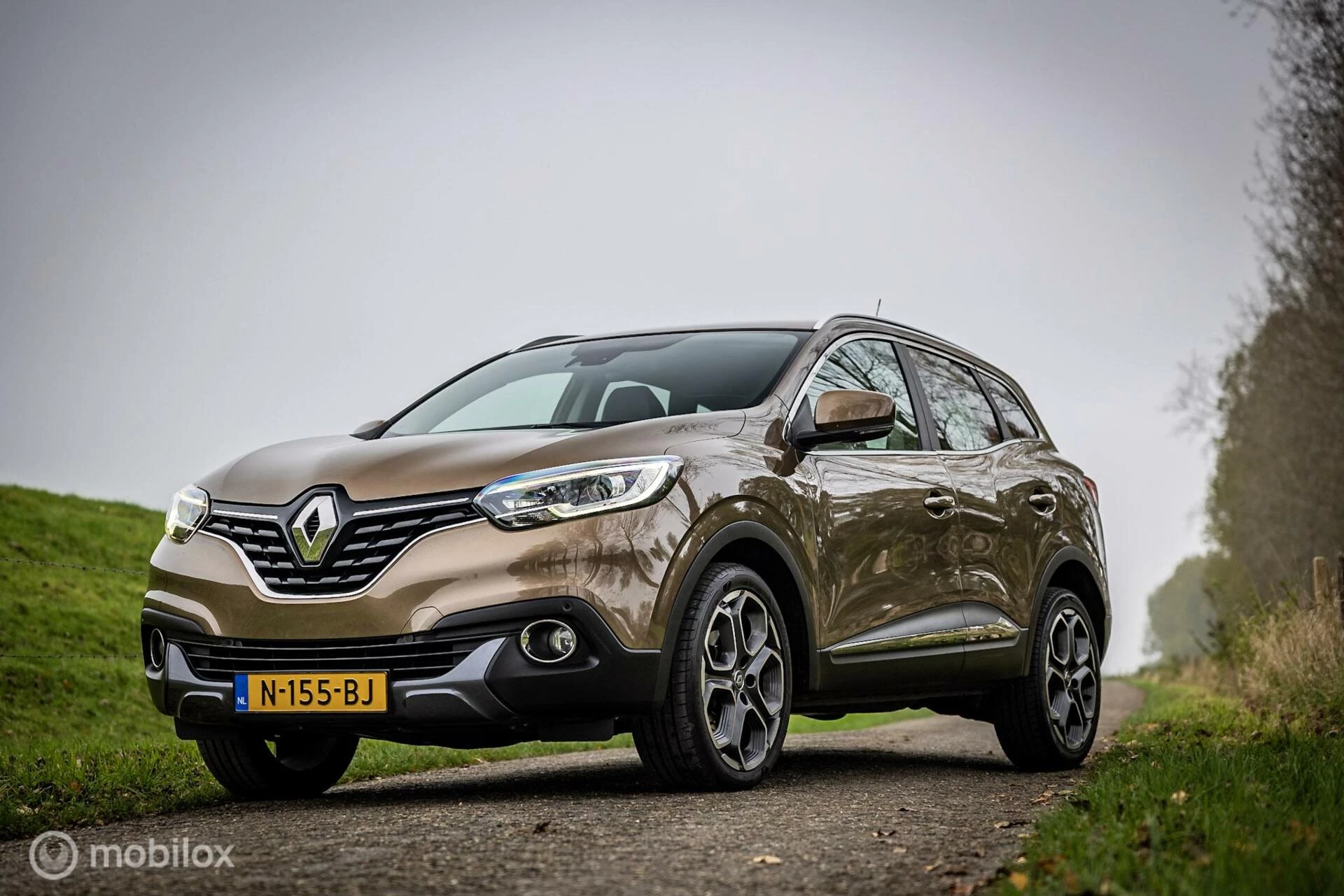 Hoofdafbeelding Renault Kadjar