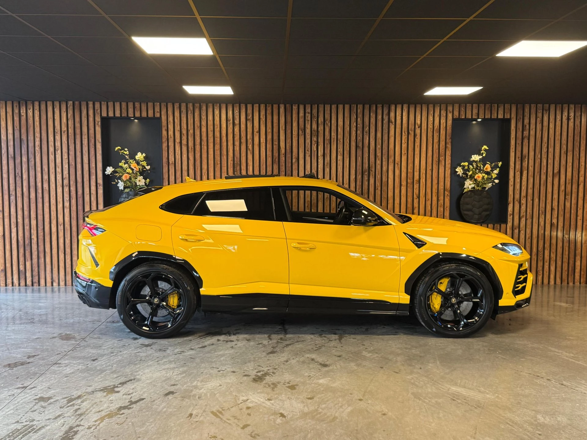 Hoofdafbeelding Lamborghini Urus