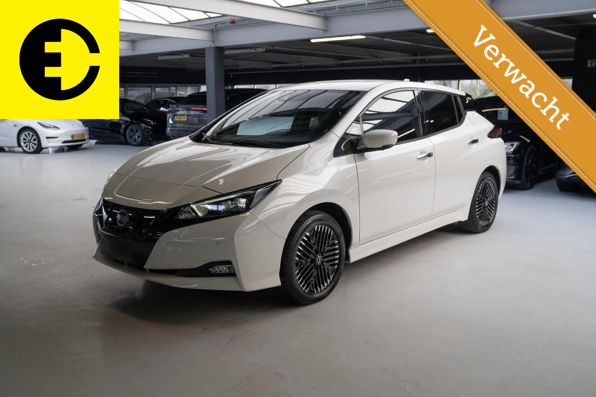 Hoofdafbeelding Nissan Leaf