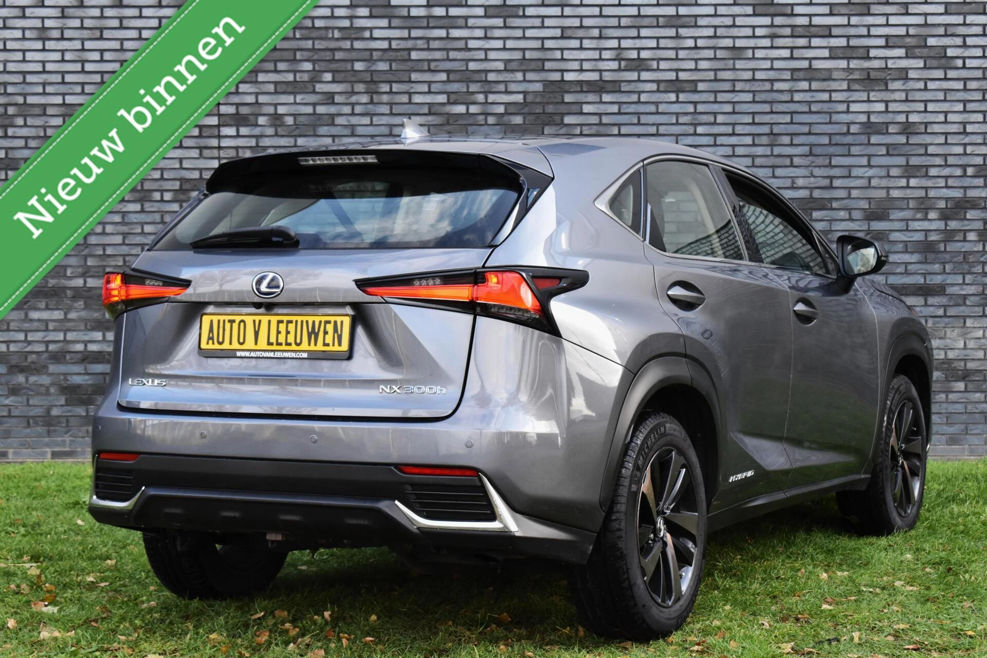 Hoofdafbeelding Lexus NX
