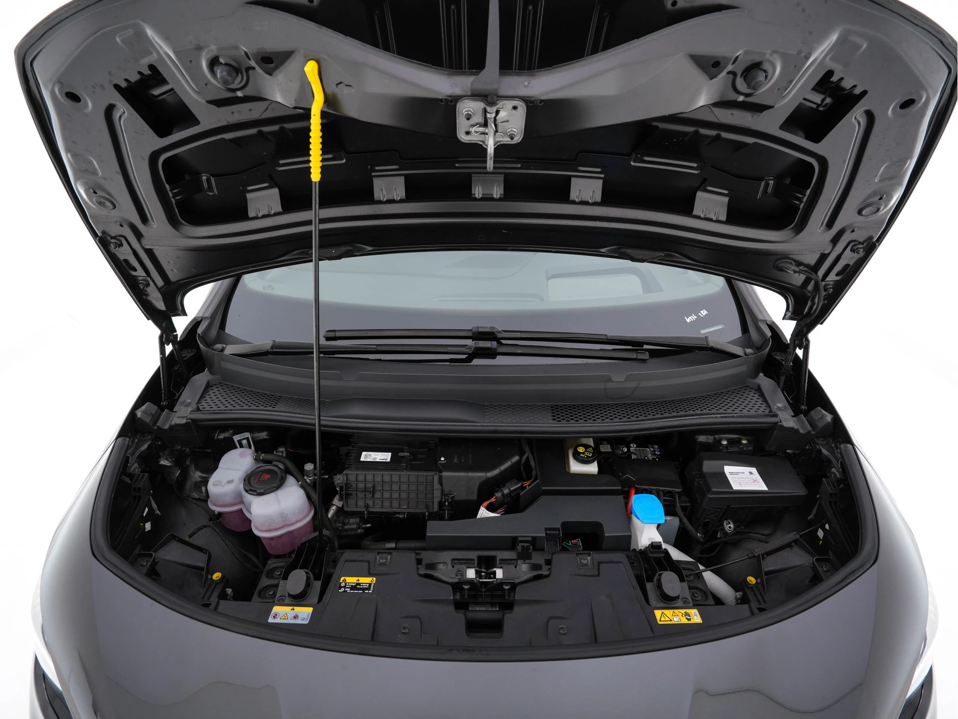 Hoofdafbeelding CUPRA Born