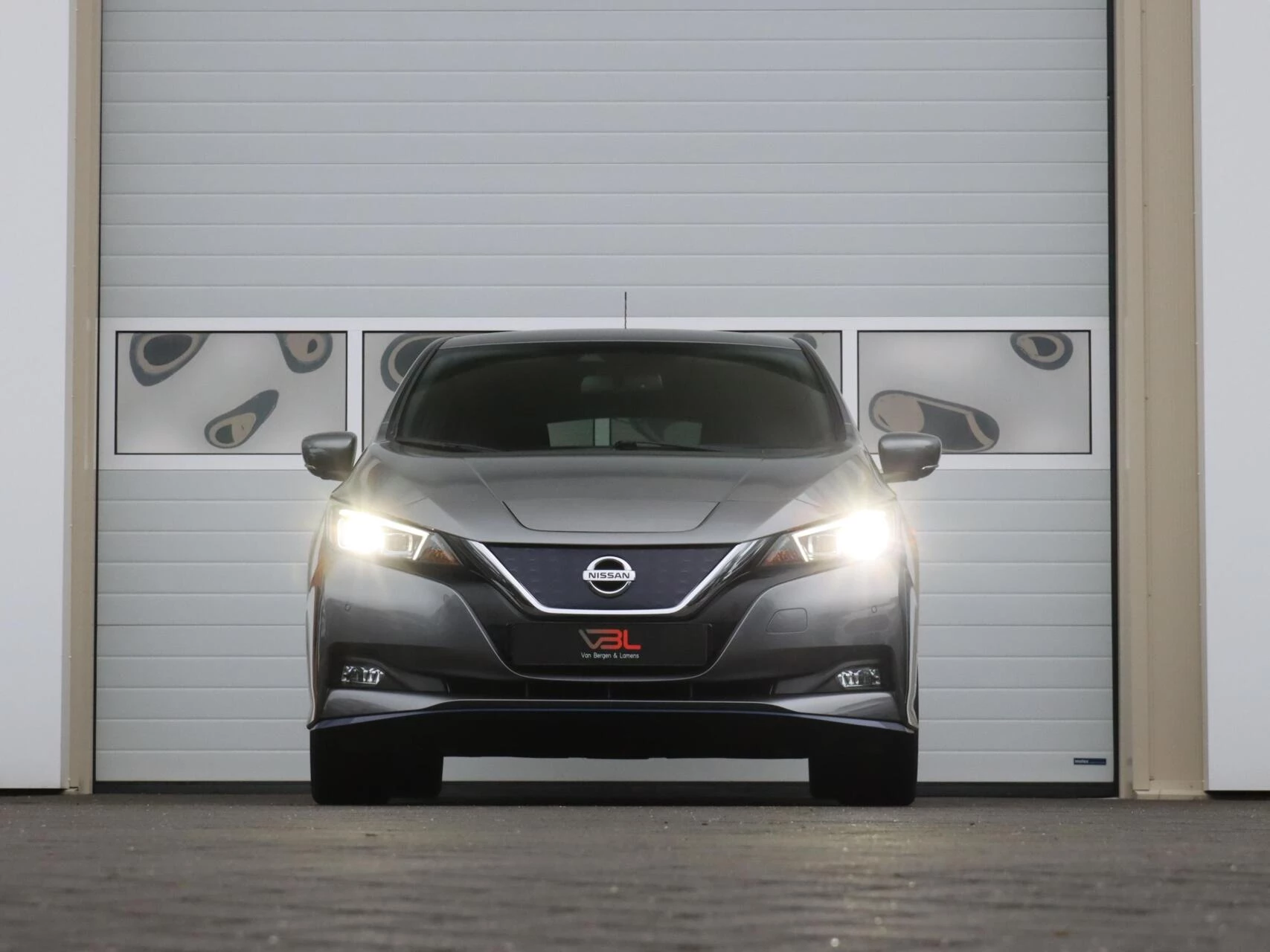 Hoofdafbeelding Nissan Leaf