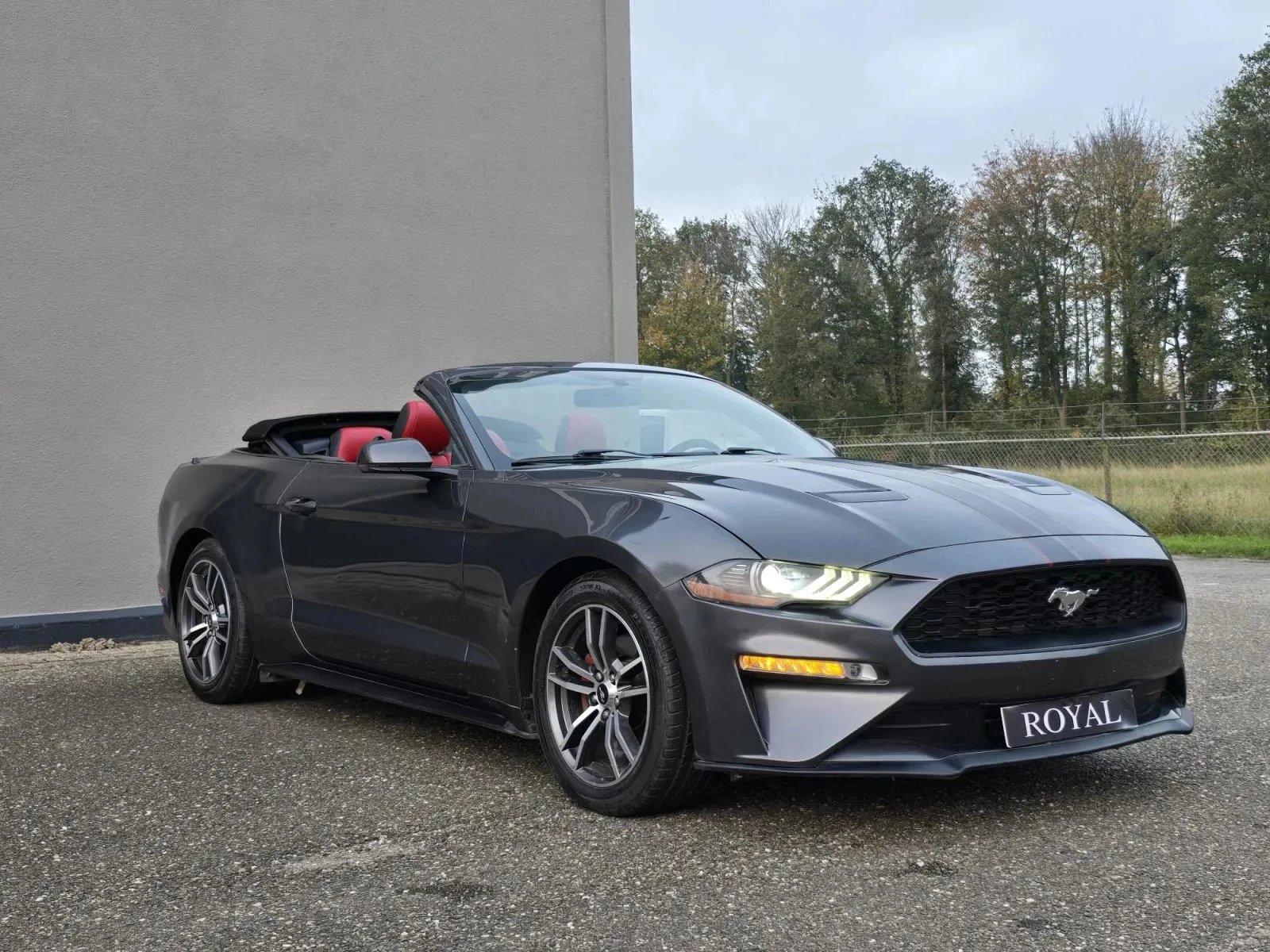 Hoofdafbeelding Ford Mustang