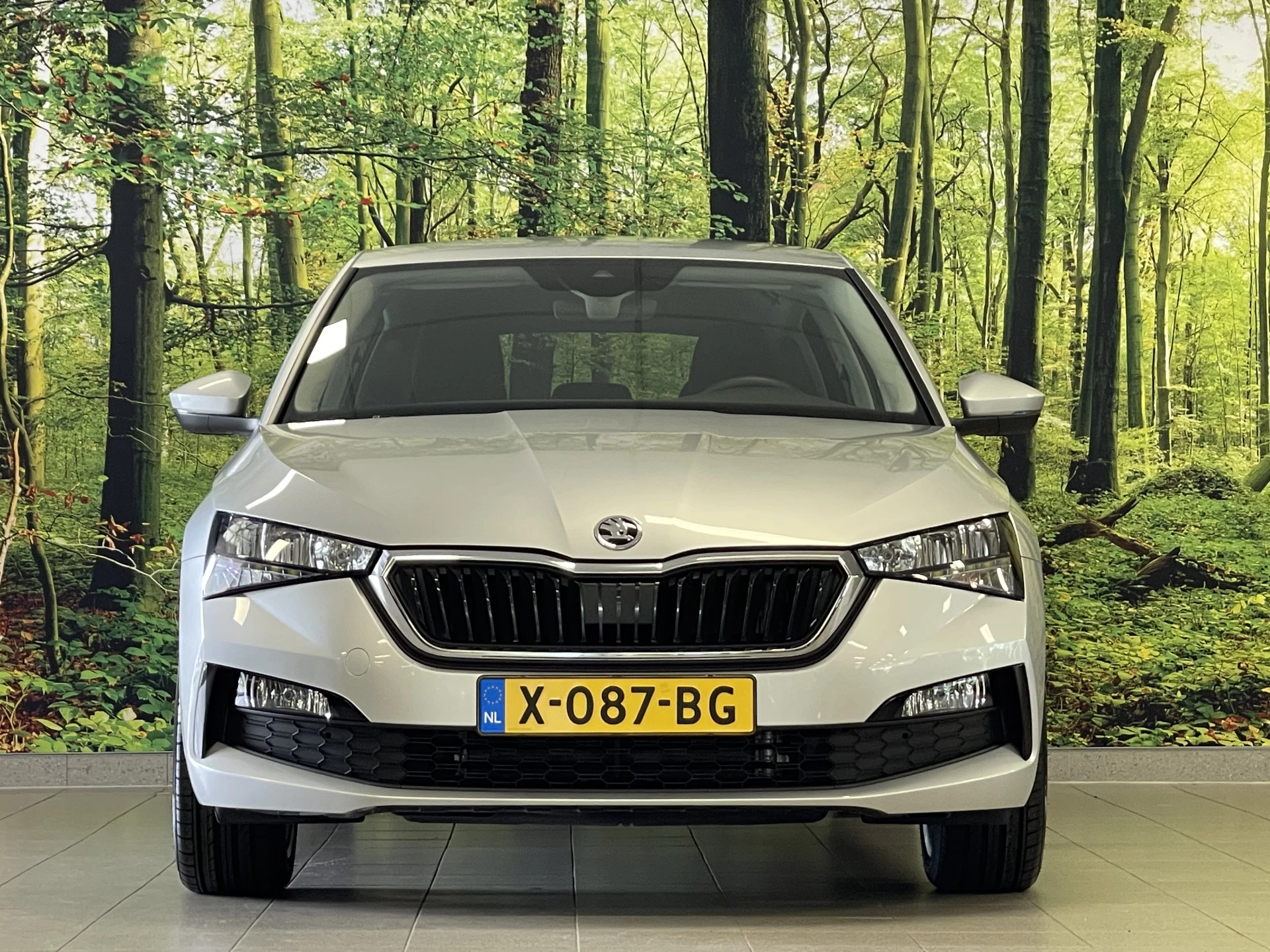 Hoofdafbeelding Škoda Scala