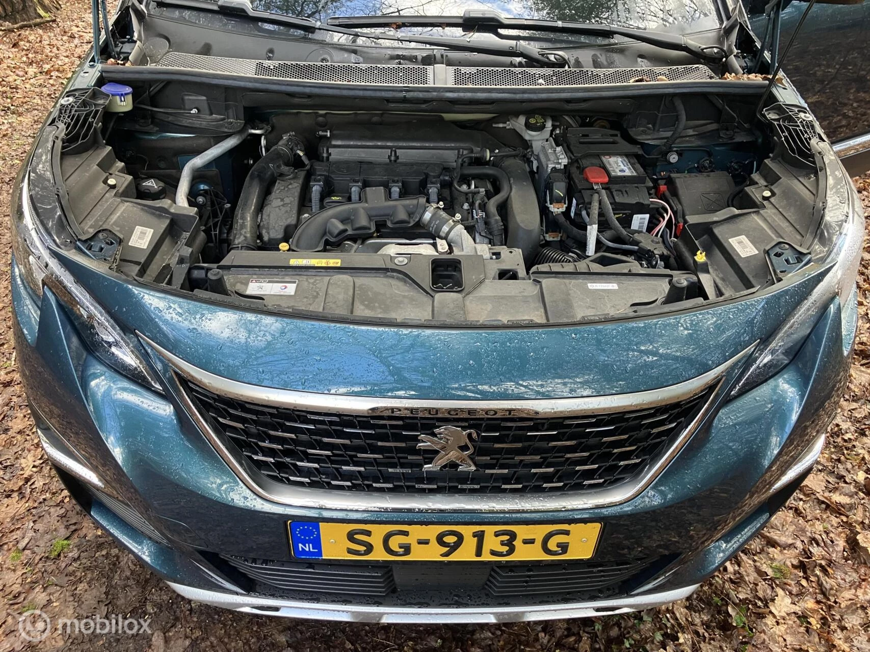 Hoofdafbeelding Peugeot 5008