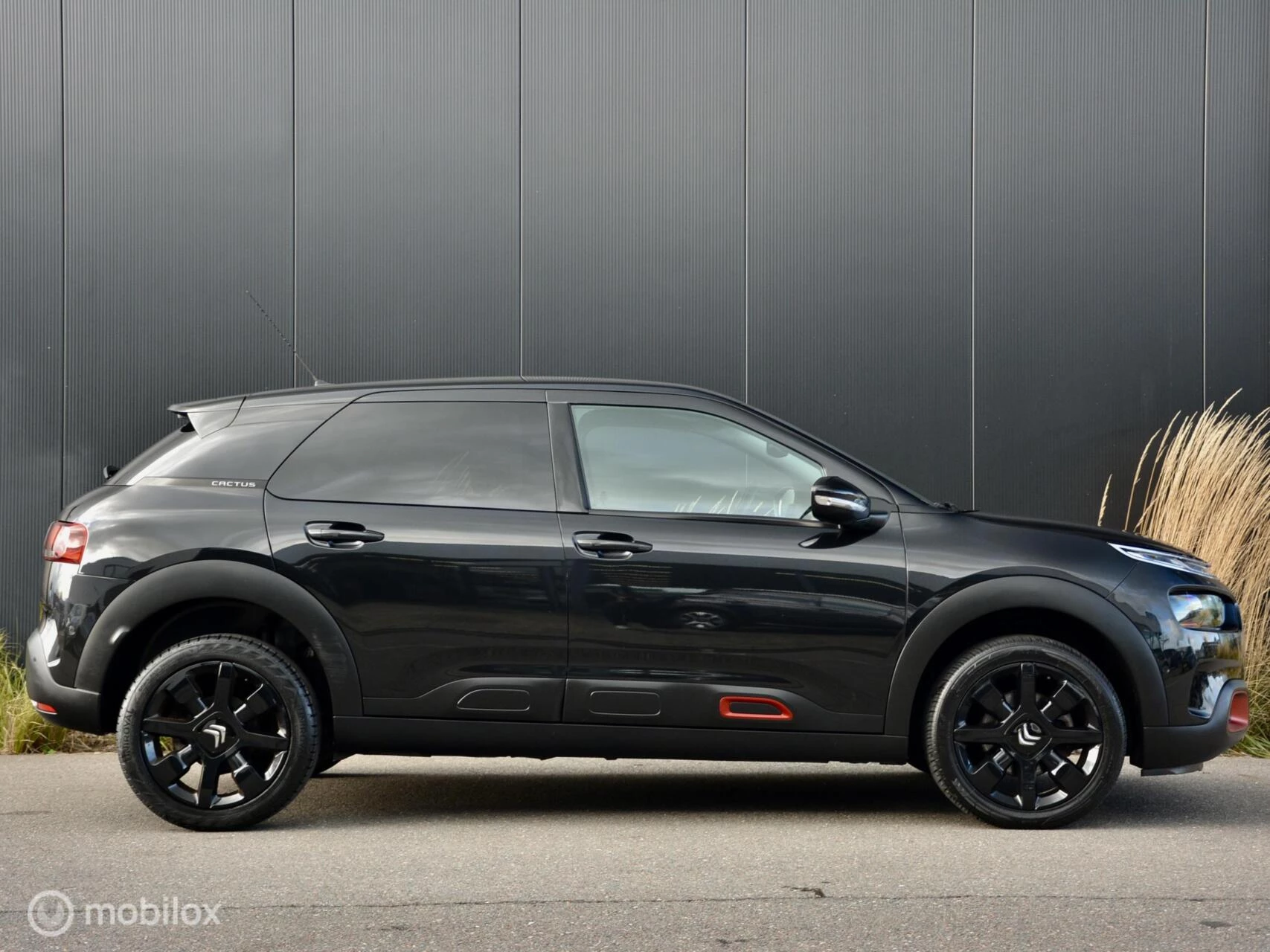 Hoofdafbeelding Citroën C4 Cactus