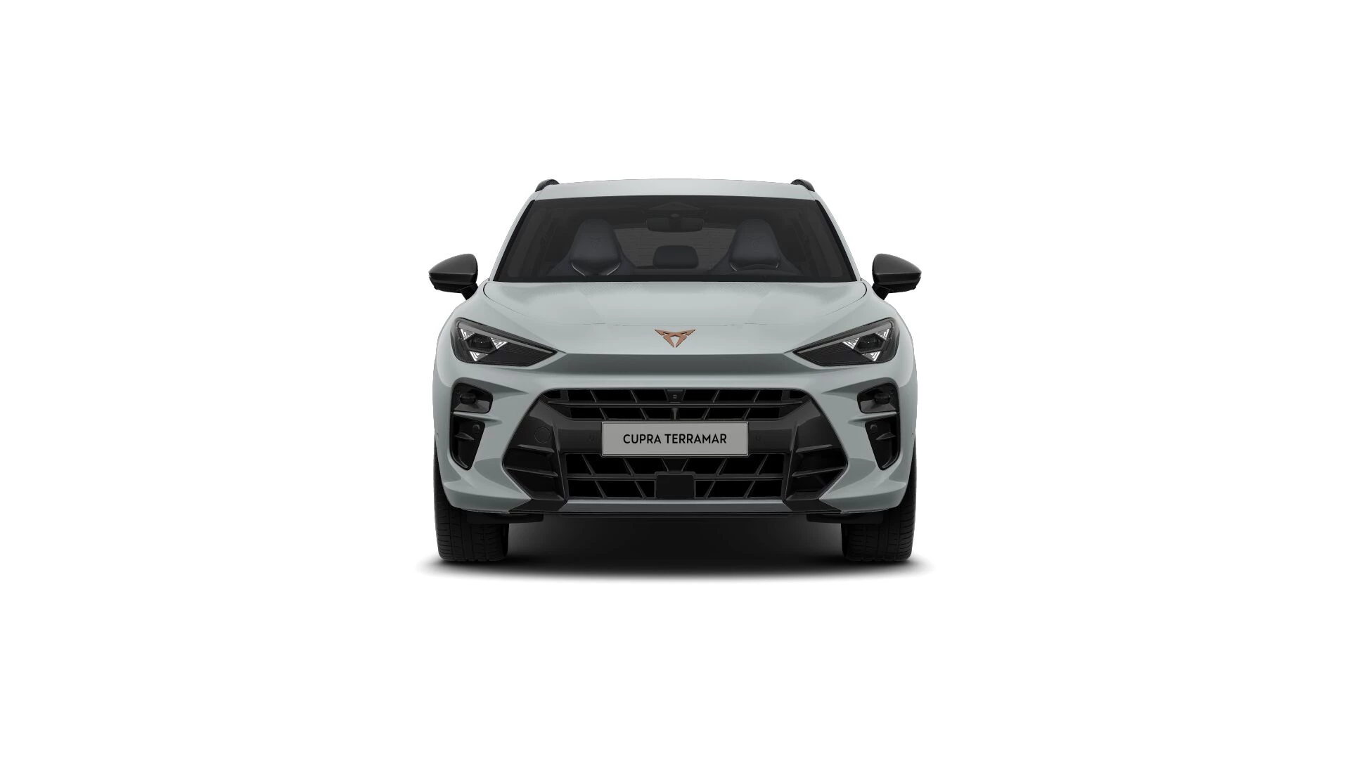 Hoofdafbeelding CUPRA Terramar