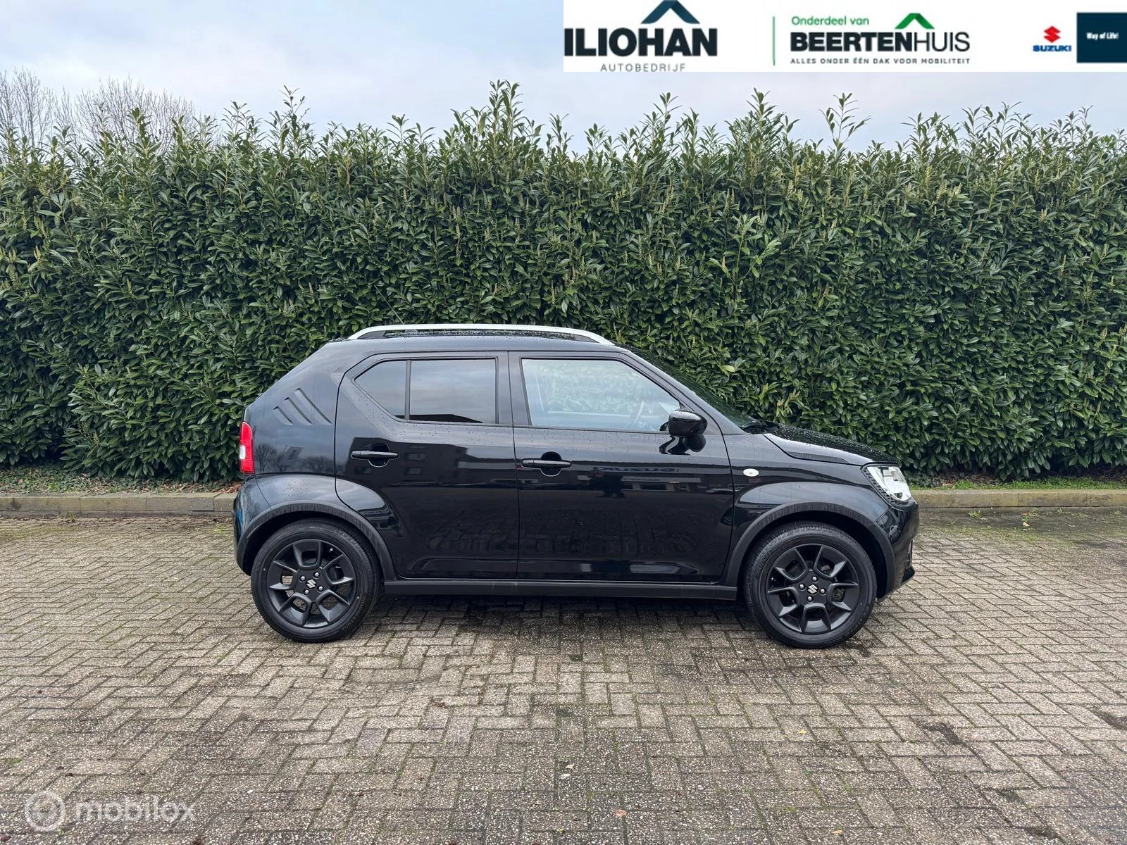 Hoofdafbeelding Suzuki Ignis