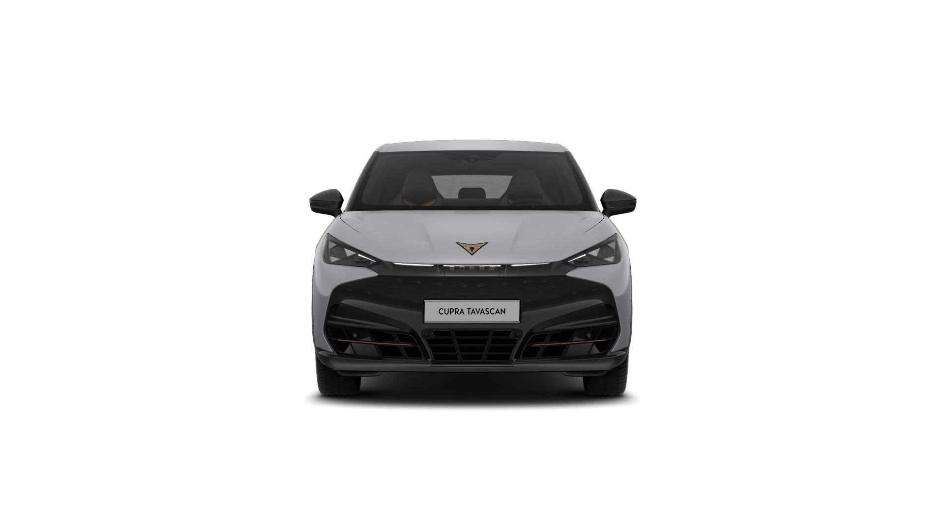 Hoofdafbeelding CUPRA Tavascan
