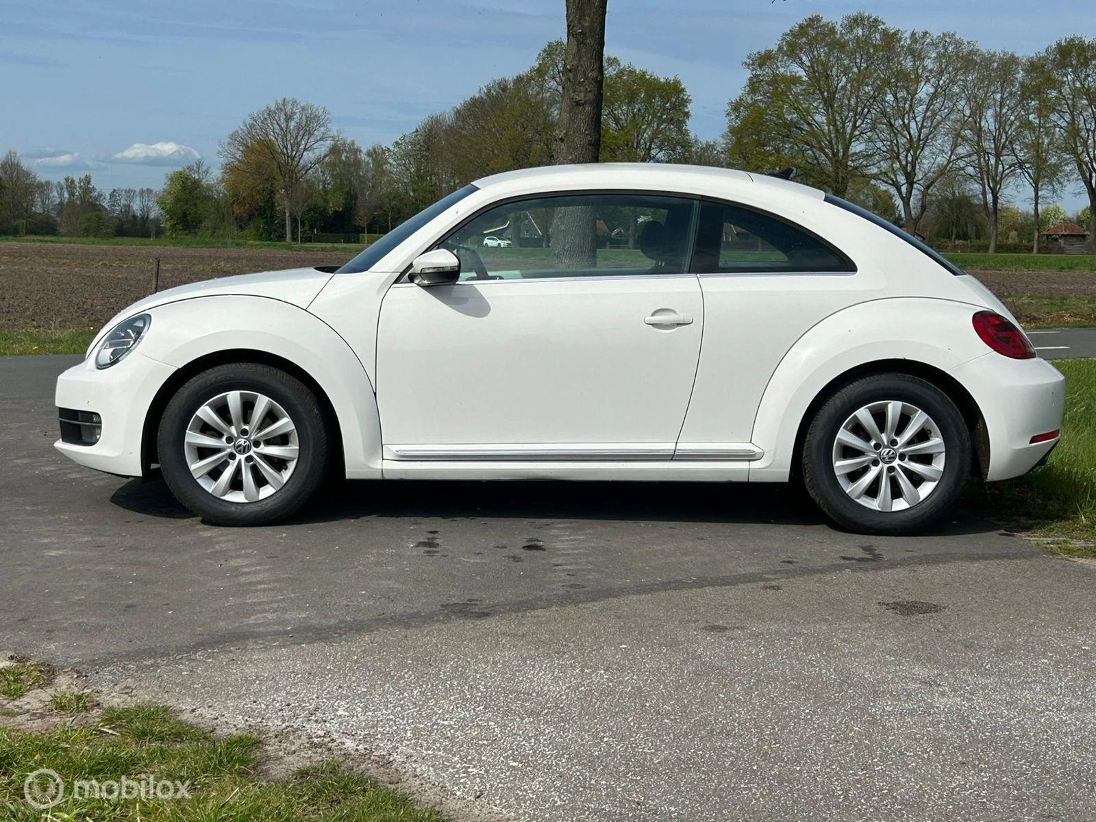 Hoofdafbeelding Volkswagen Beetle