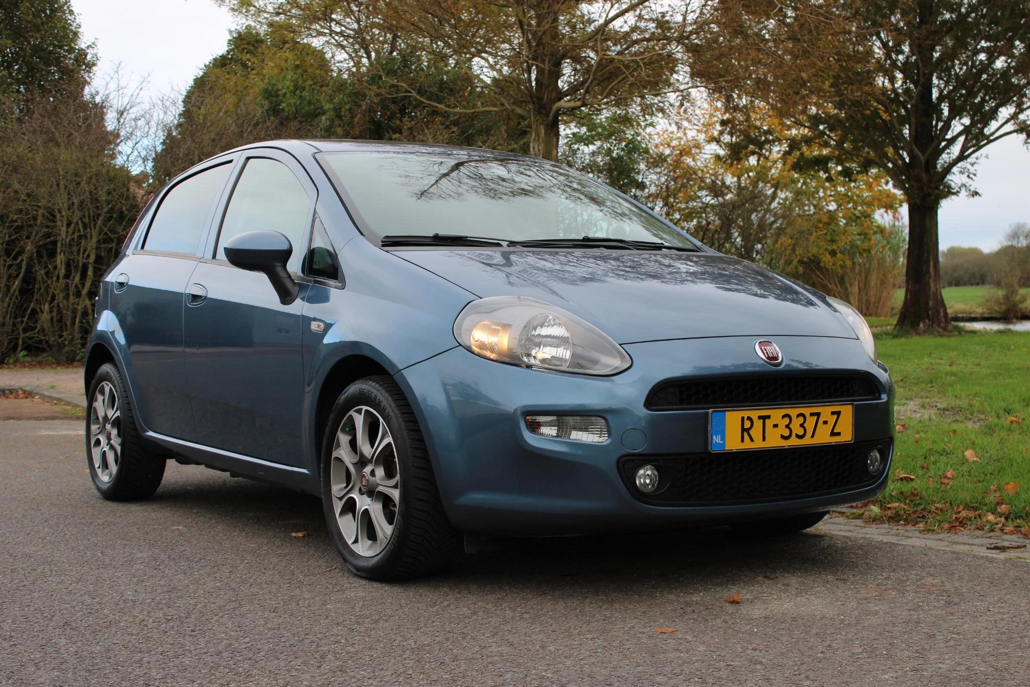 Hoofdafbeelding Fiat Punto
