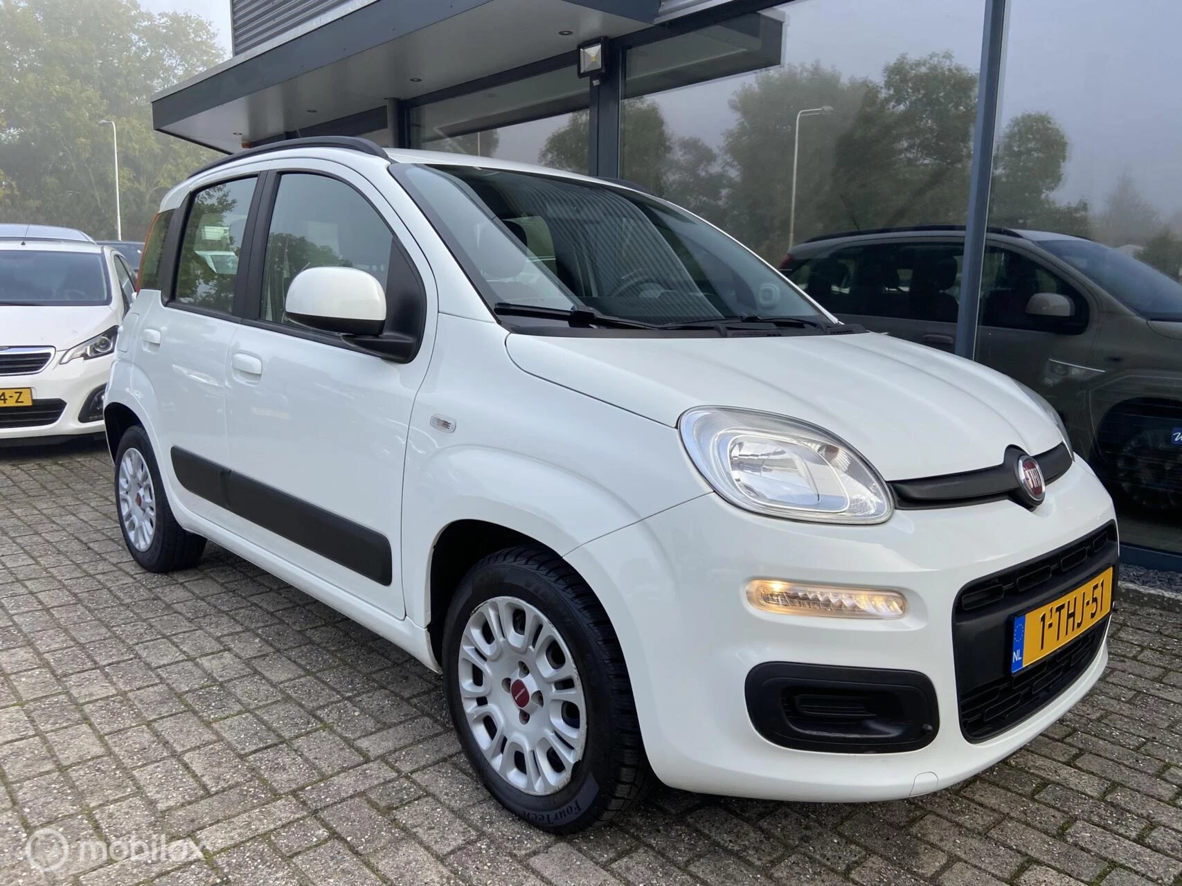 Hoofdafbeelding Fiat Panda