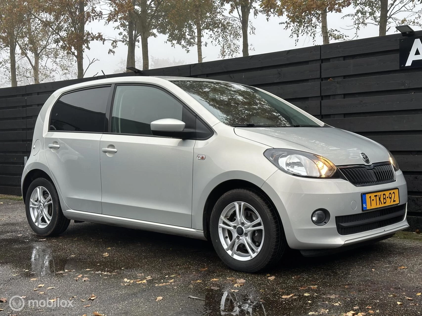 Hoofdafbeelding Škoda Citigo