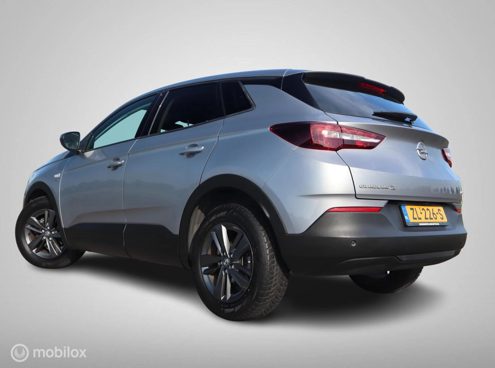 Hoofdafbeelding Opel Grandland X