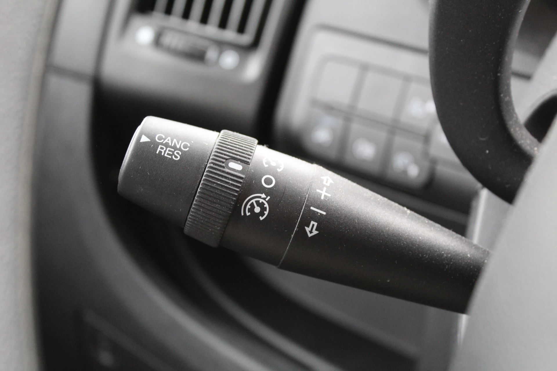 Hoofdafbeelding McLouis YEARLING