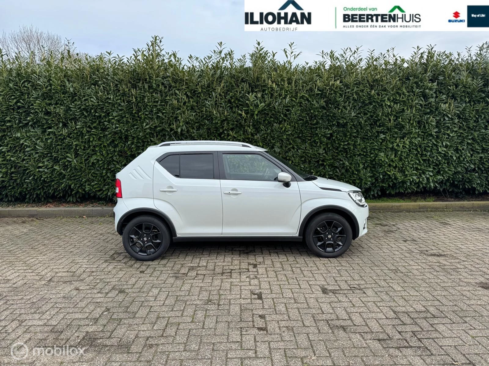 Hoofdafbeelding Suzuki Ignis