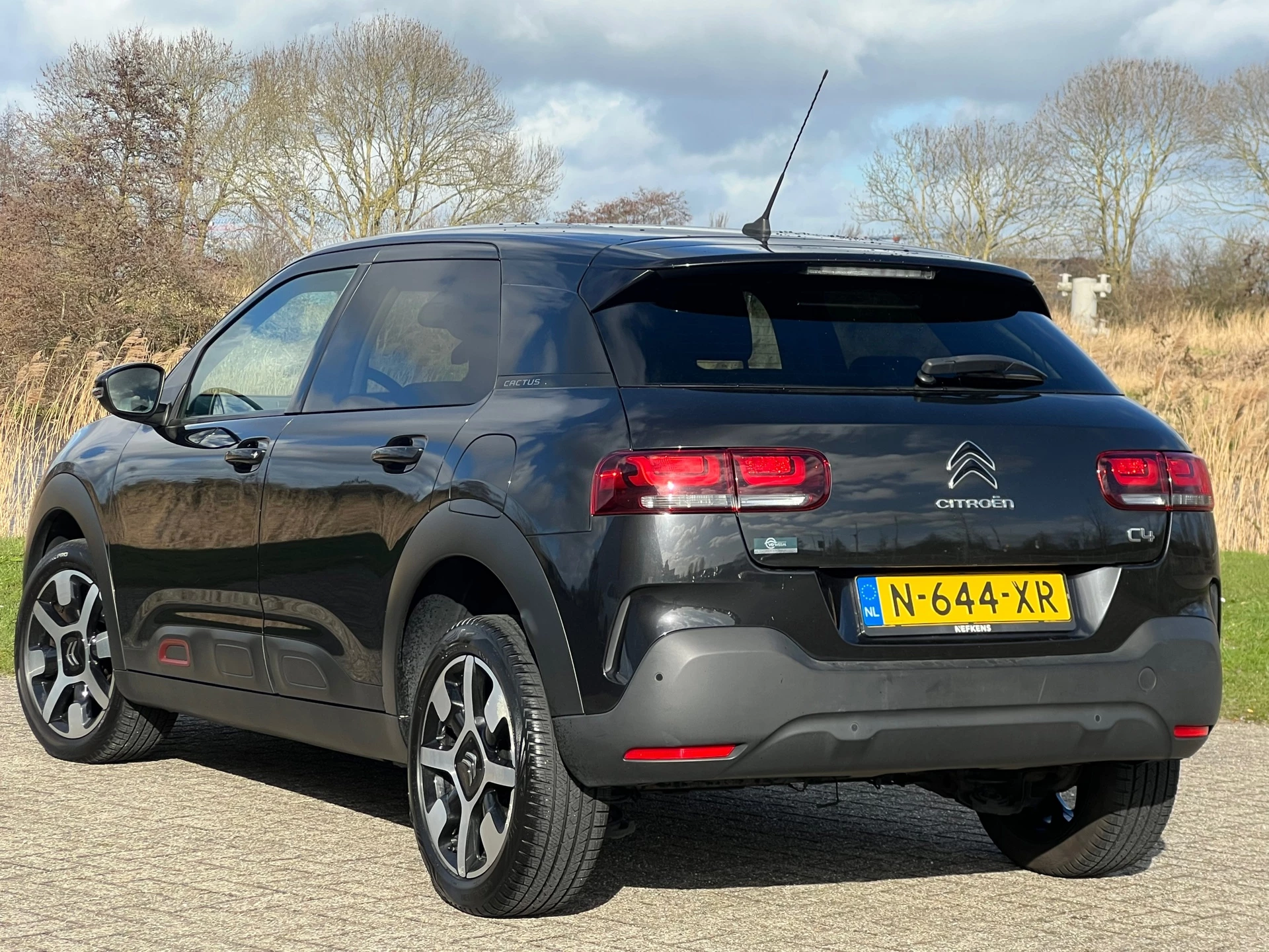 Hoofdafbeelding Citroën C4 Cactus