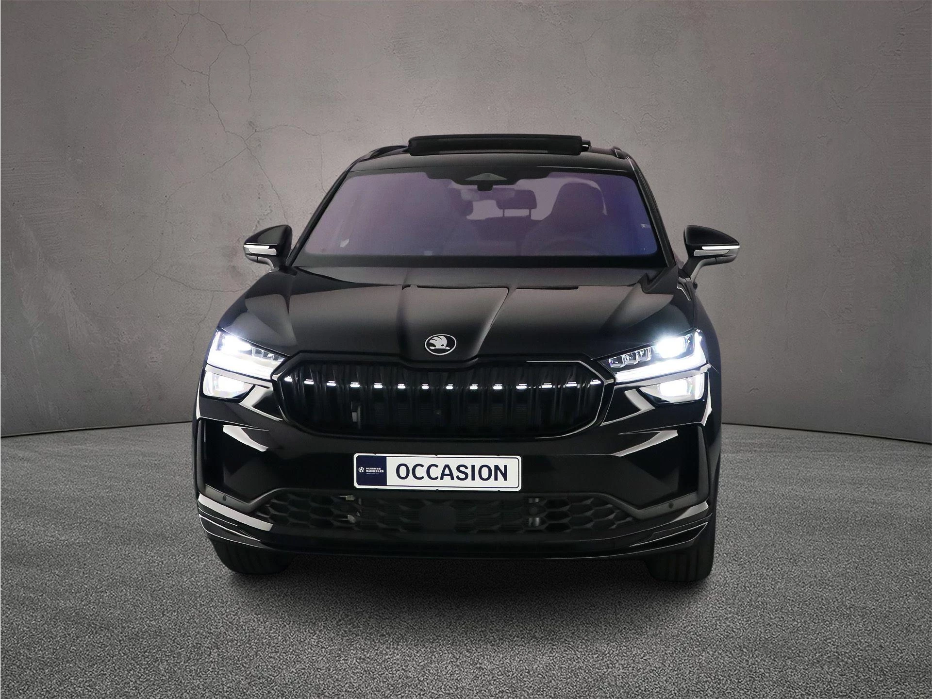 Hoofdafbeelding Škoda Kodiaq