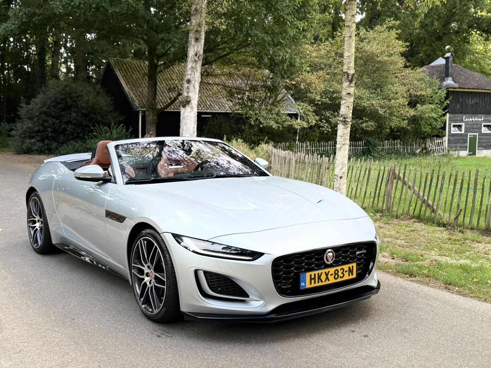 Hoofdafbeelding Jaguar F-Type