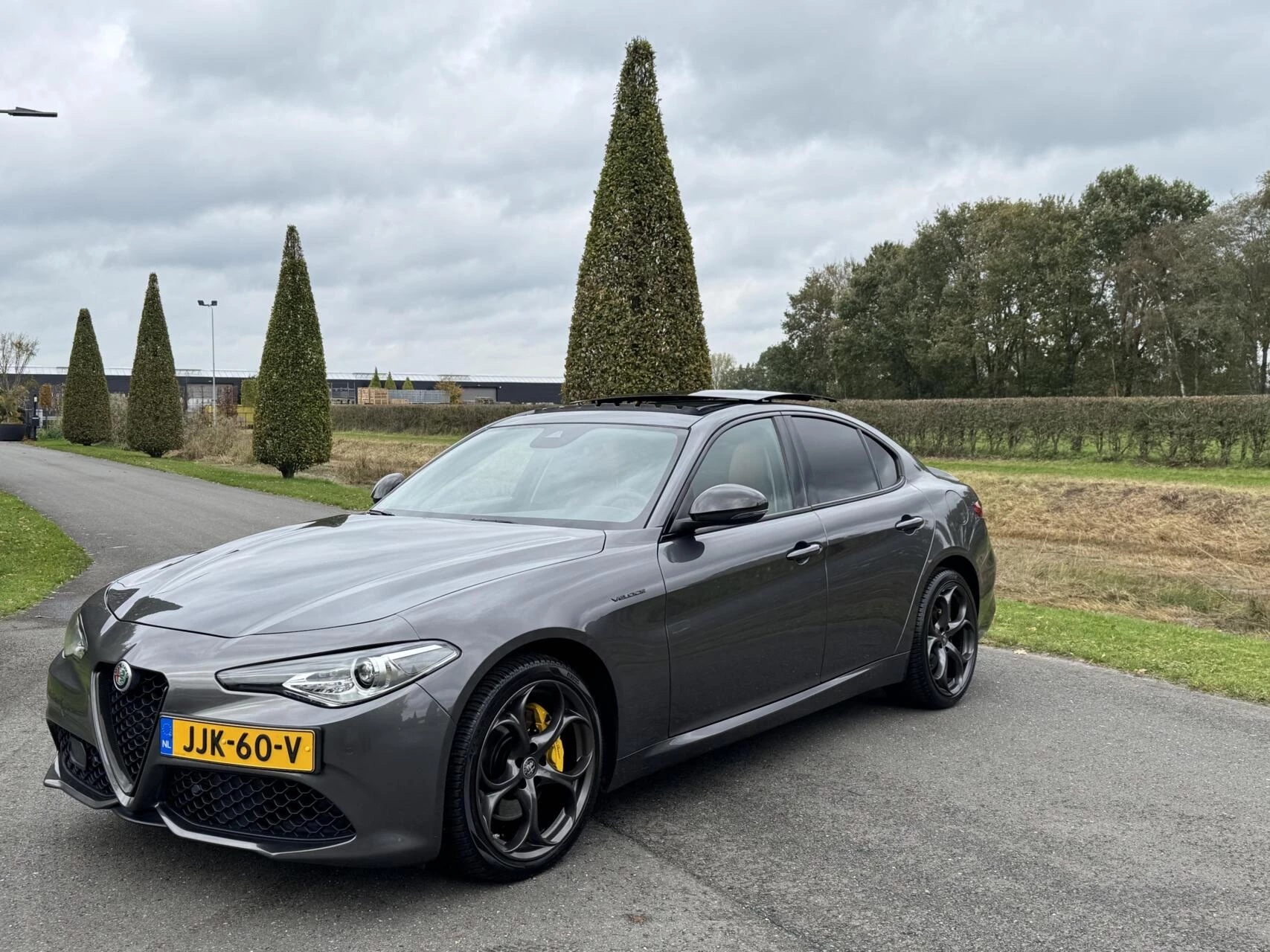 Hoofdafbeelding Alfa Romeo Giulia