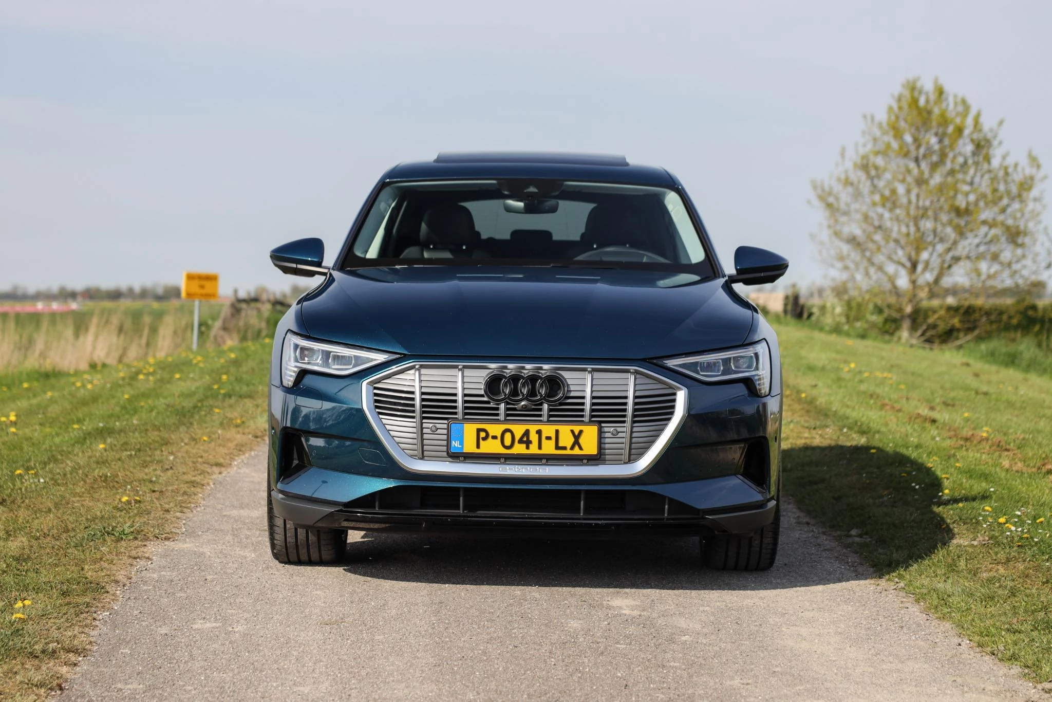 Hoofdafbeelding Audi e-tron