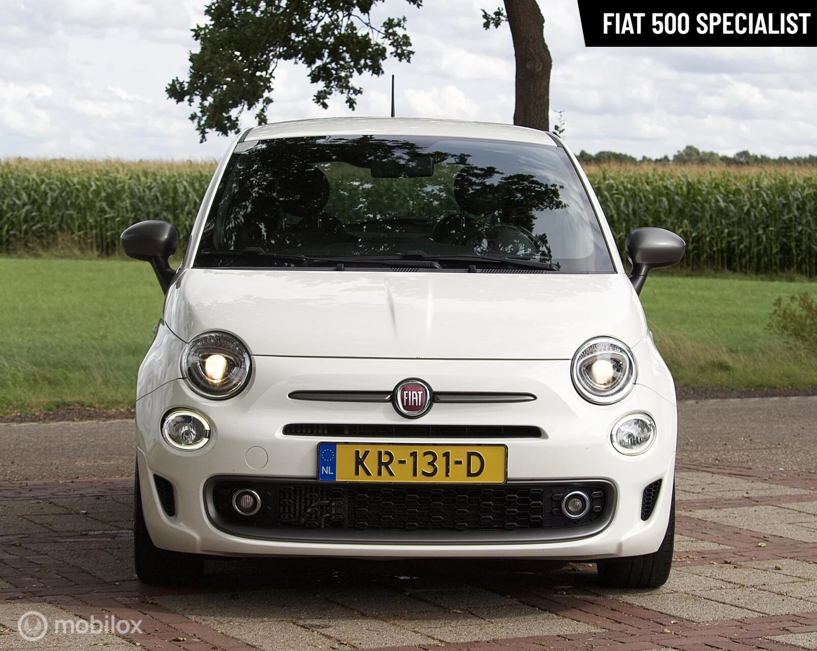 Hoofdafbeelding Fiat 500
