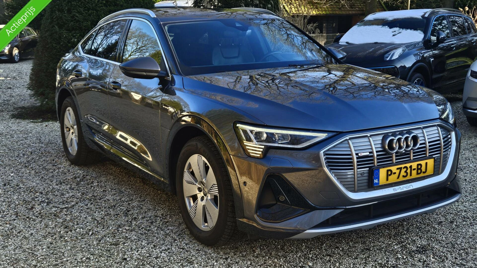 Hoofdafbeelding Audi e-tron