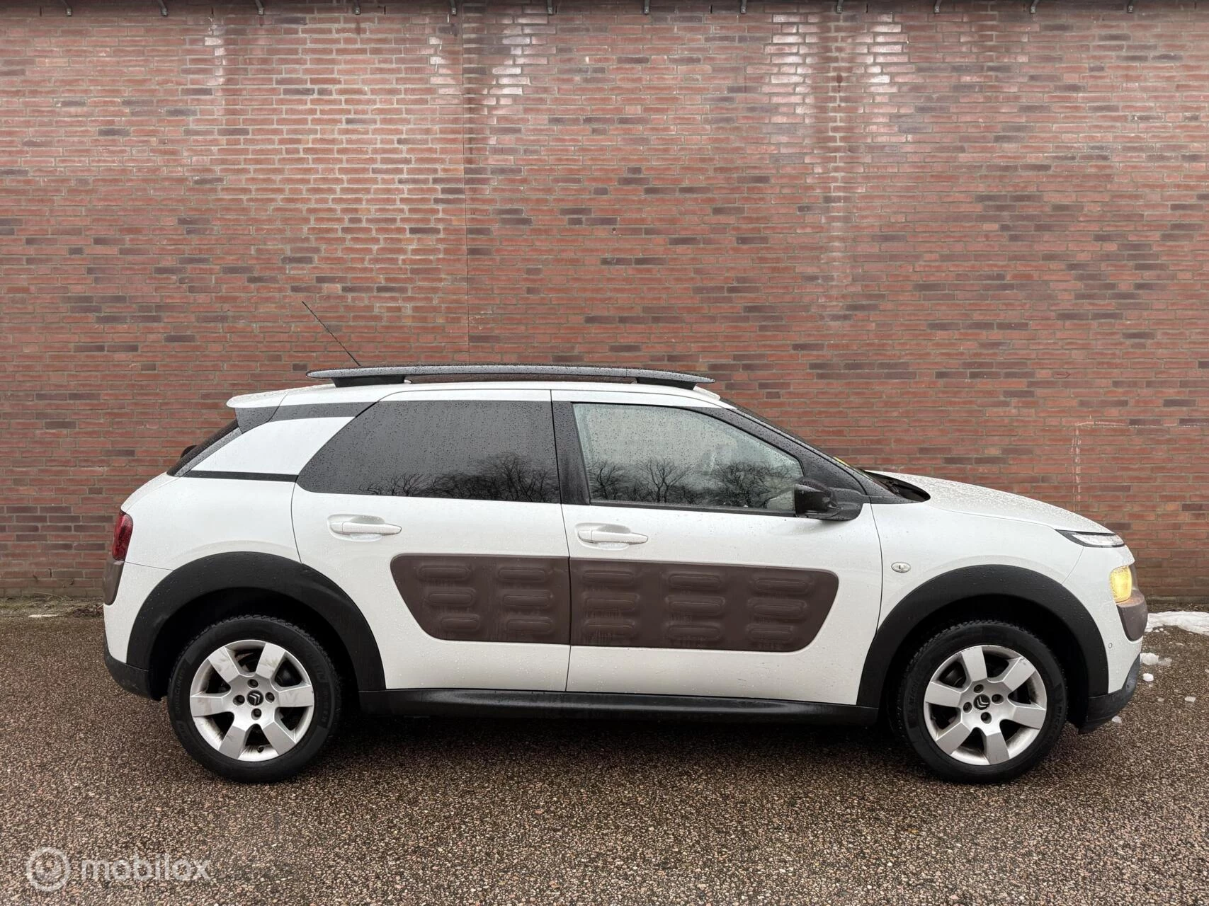 Hoofdafbeelding Citroën C4 Cactus