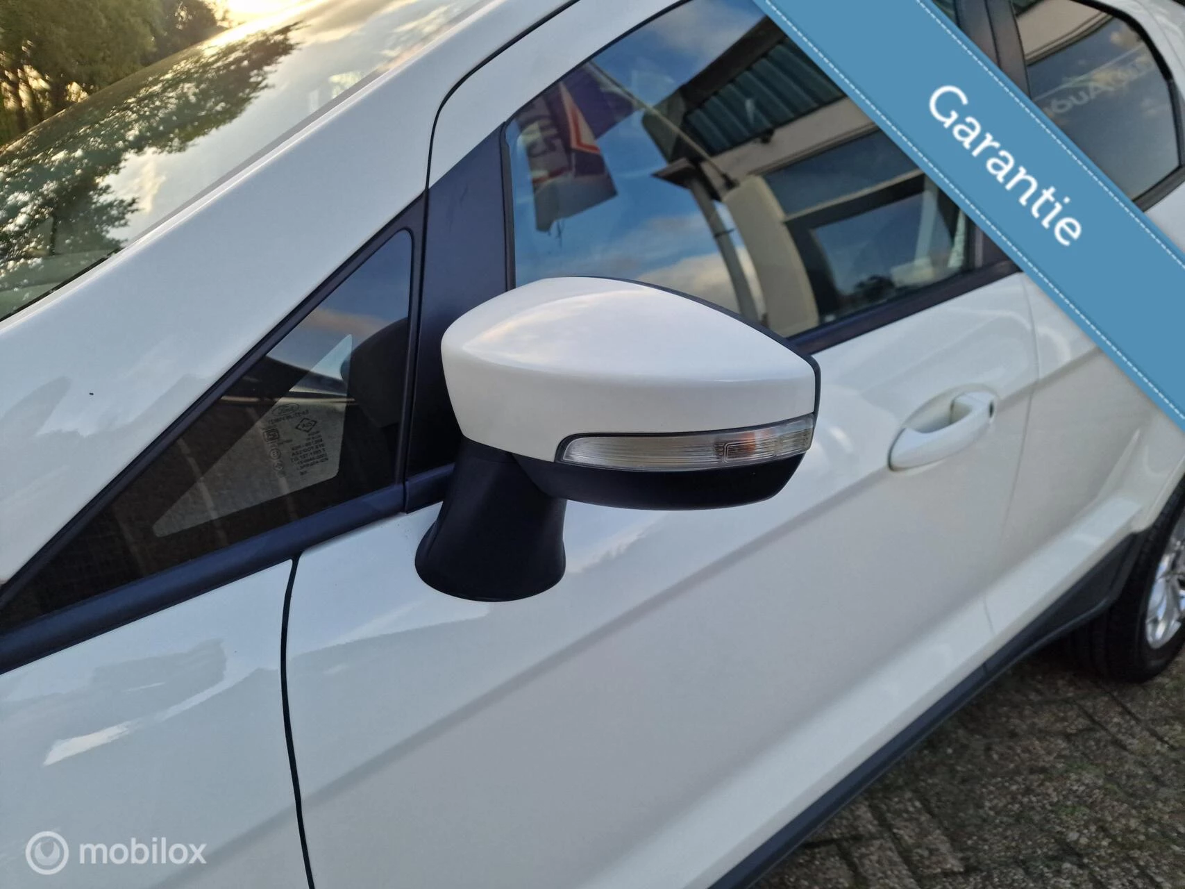 Hoofdafbeelding Ford EcoSport