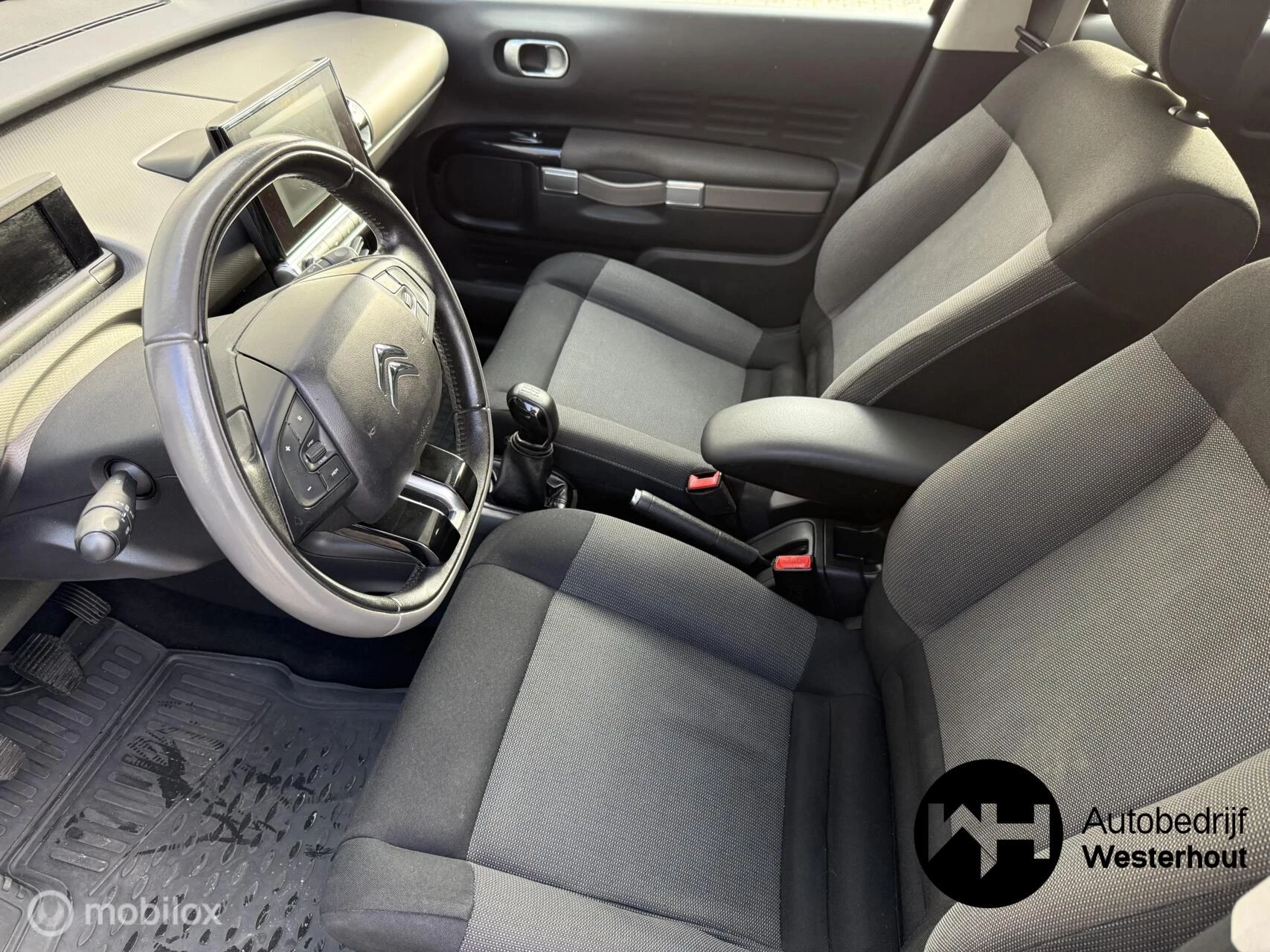 Hoofdafbeelding Citroën C4 Cactus