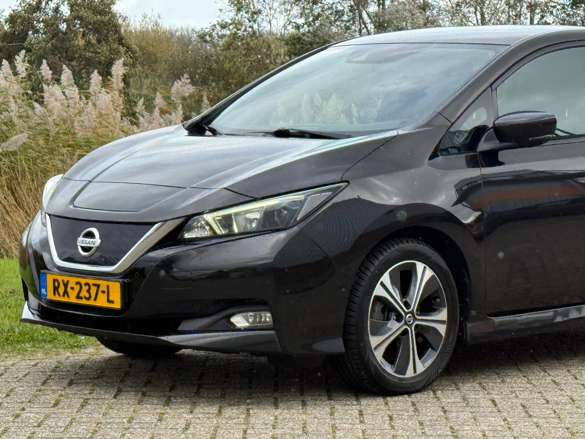 Hoofdafbeelding Nissan Leaf