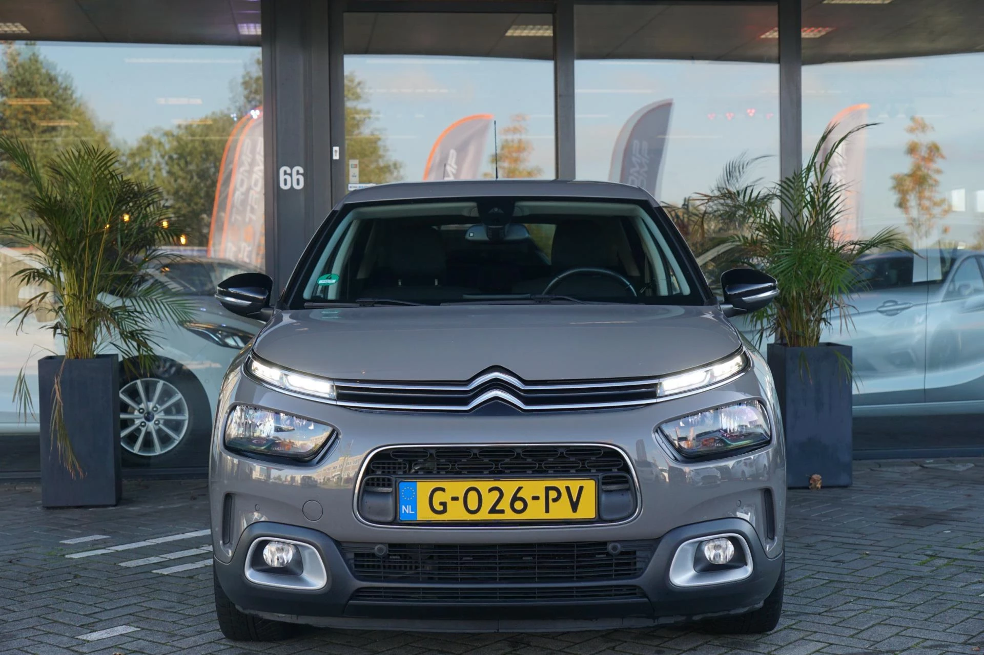 Hoofdafbeelding Citroën C4 Cactus