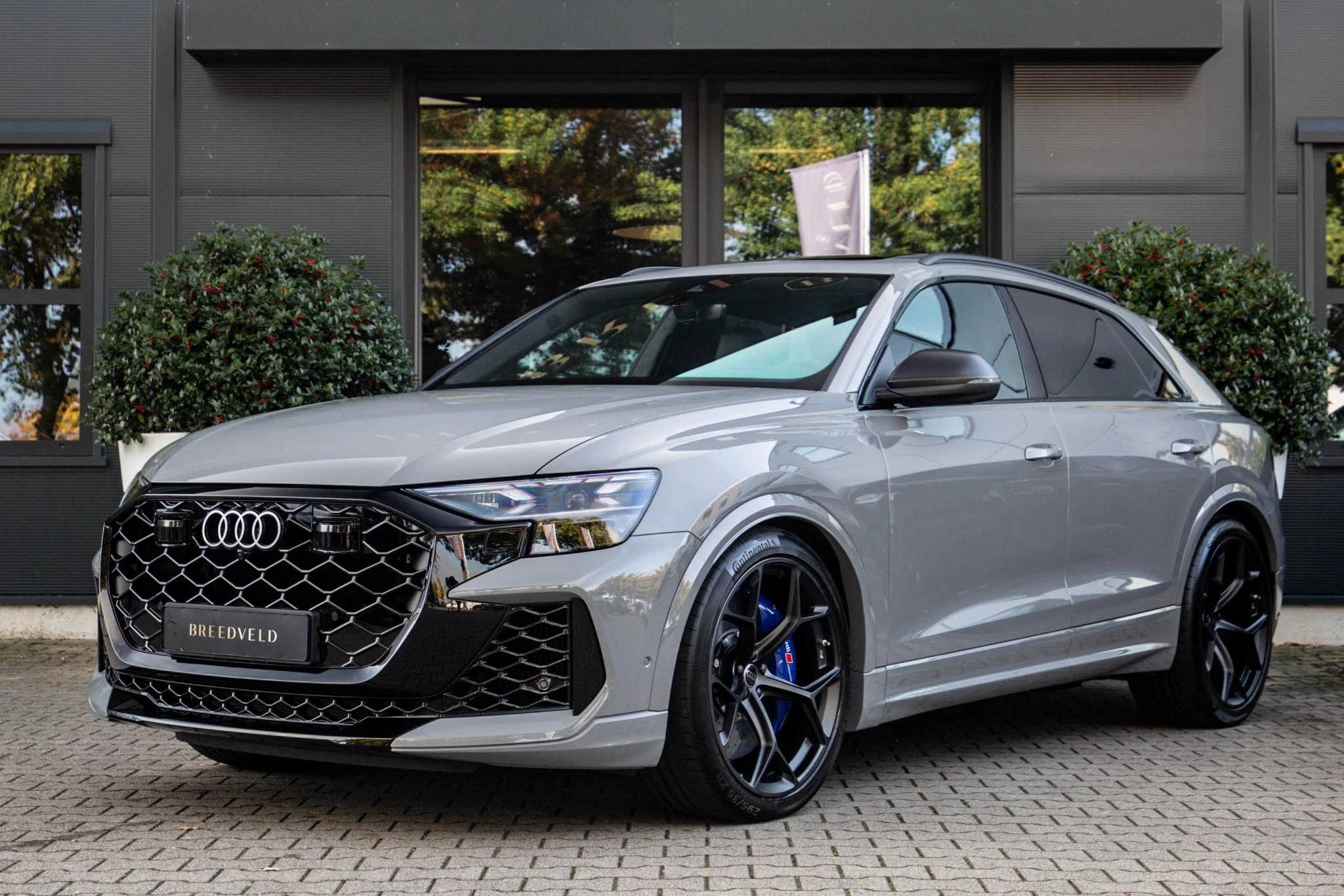 Hoofdafbeelding Audi RSQ8