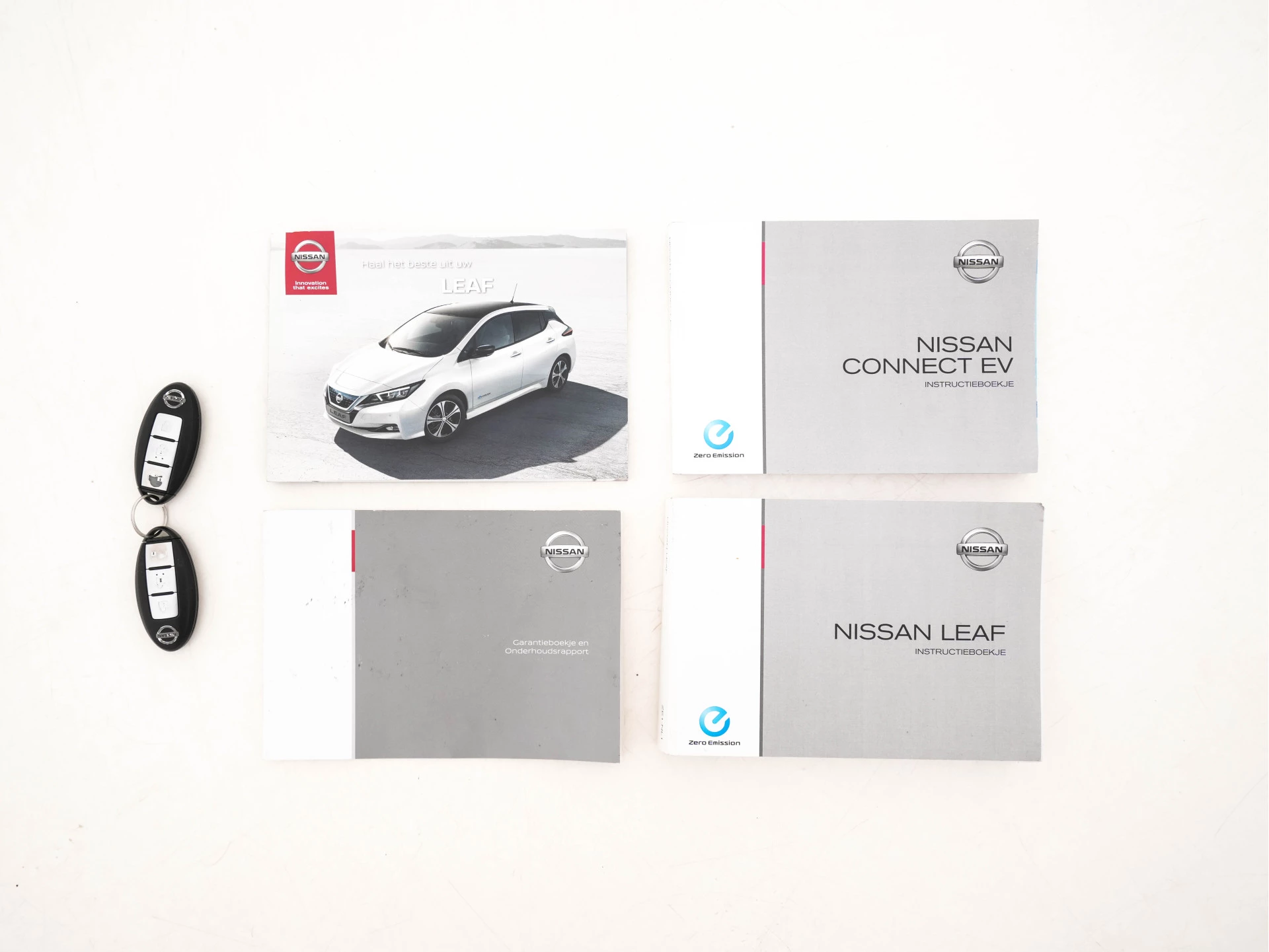 Hoofdafbeelding Nissan Leaf