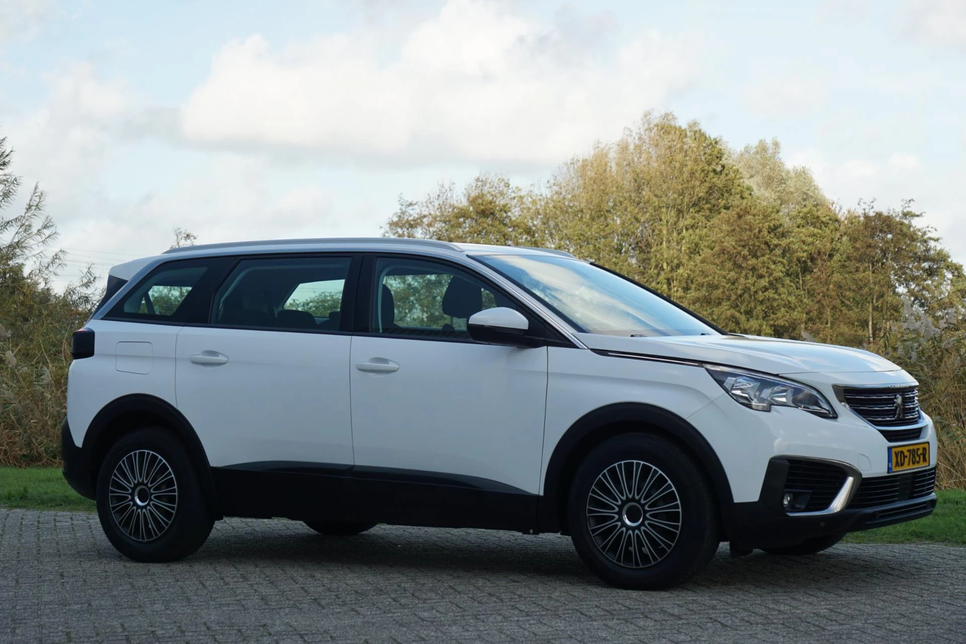 Hoofdafbeelding Peugeot 5008