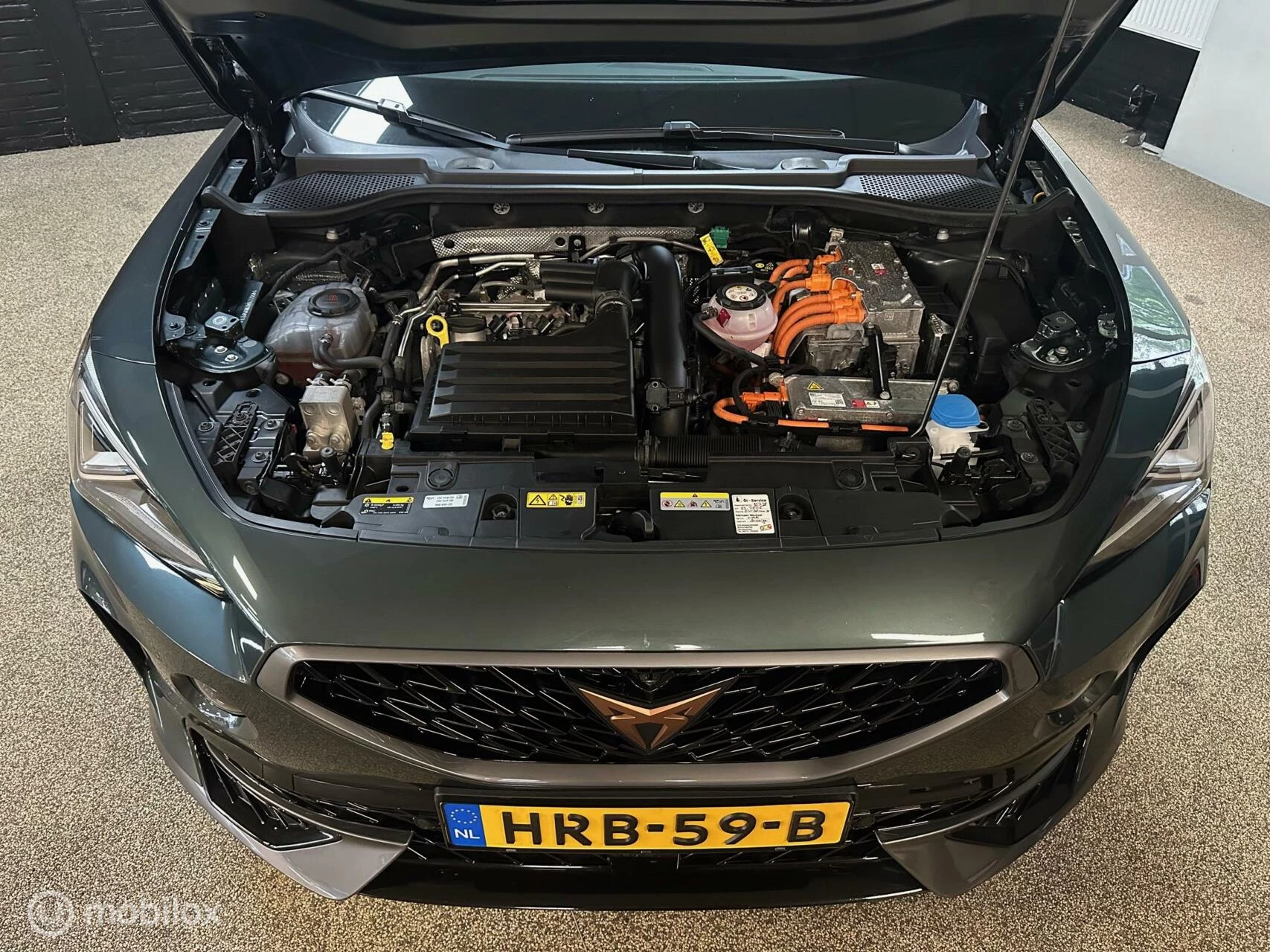 Hoofdafbeelding CUPRA Formentor