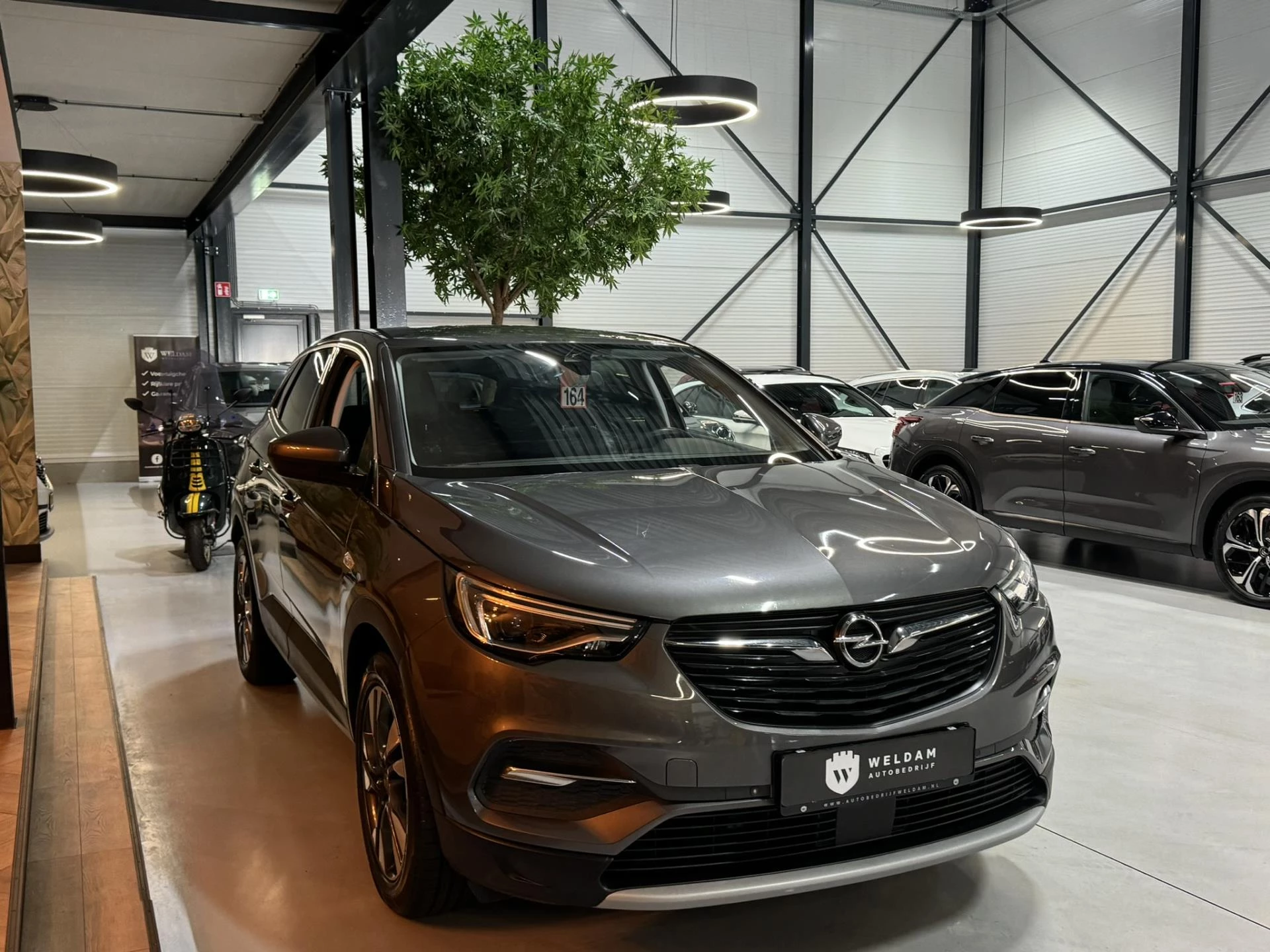 Hoofdafbeelding Opel Grandland X