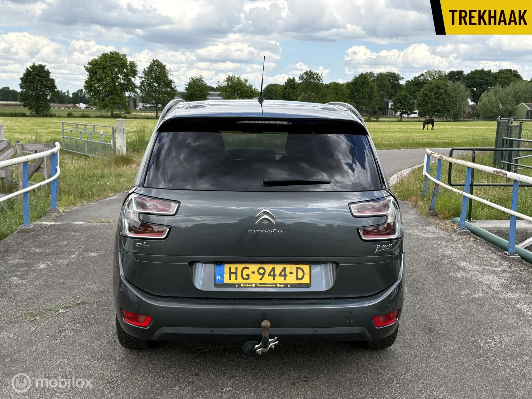 Hoofdafbeelding Citroën Grand C4 Picasso