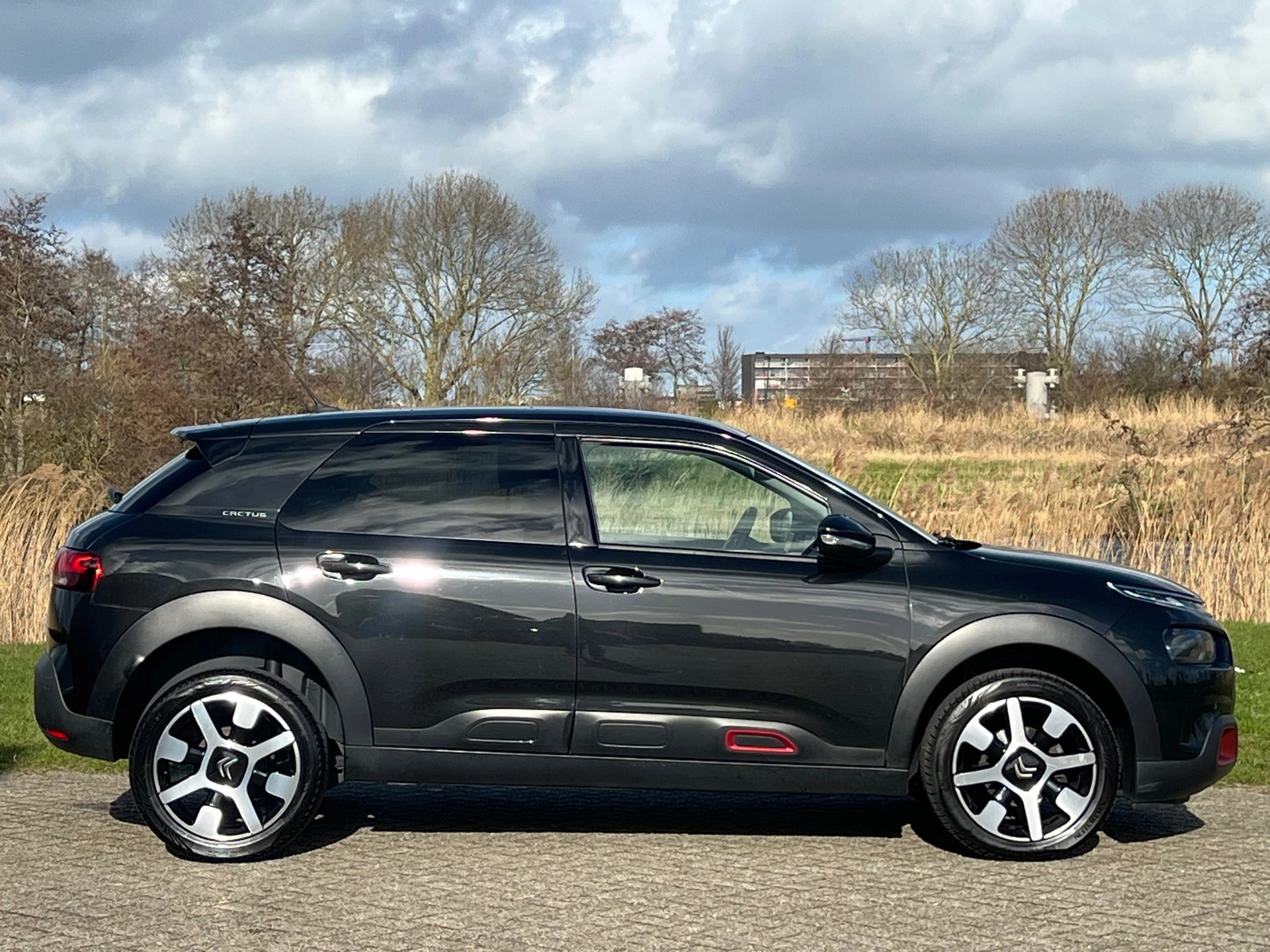 Hoofdafbeelding Citroën C4 Cactus