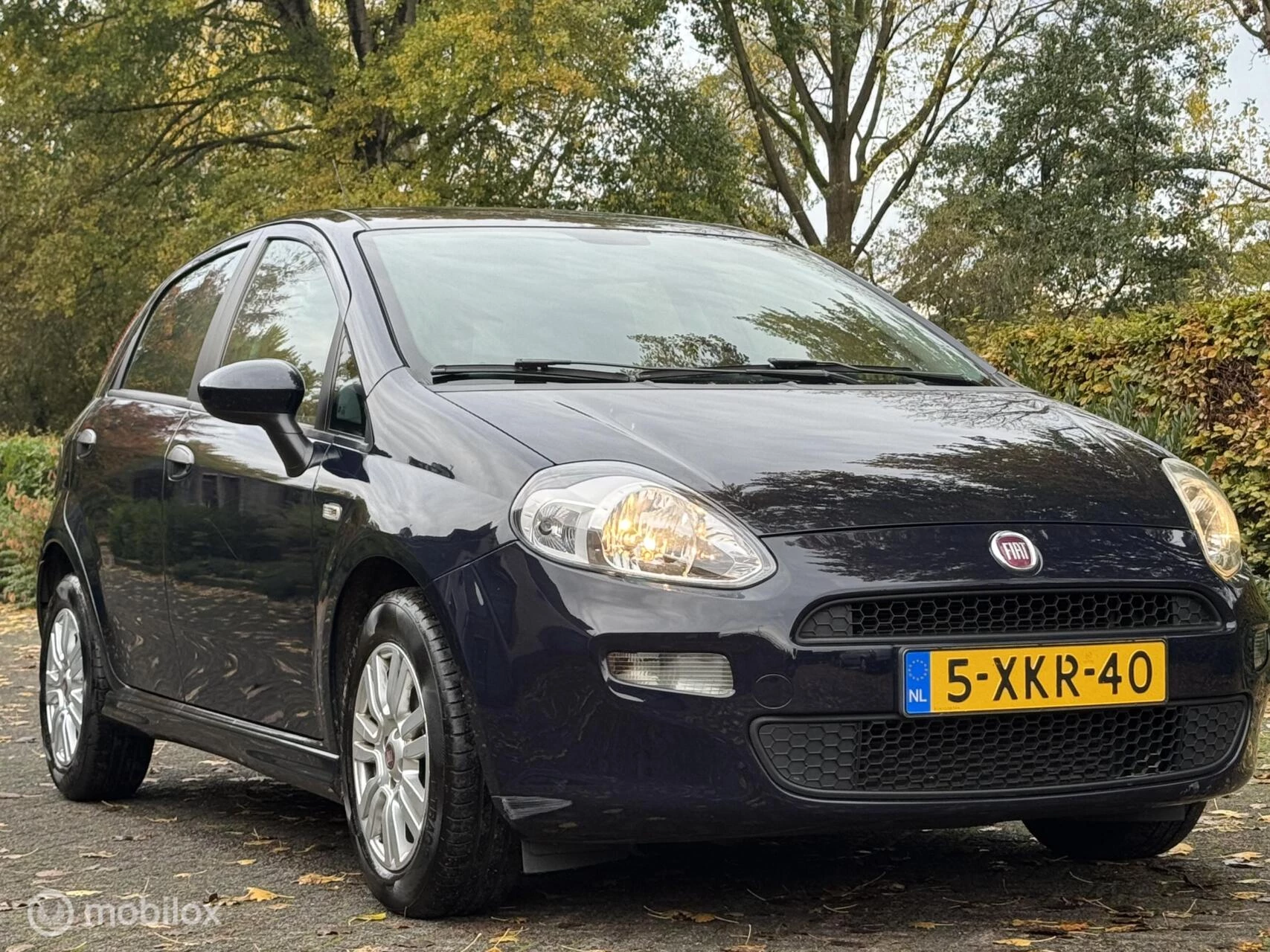 Hoofdafbeelding Fiat Punto